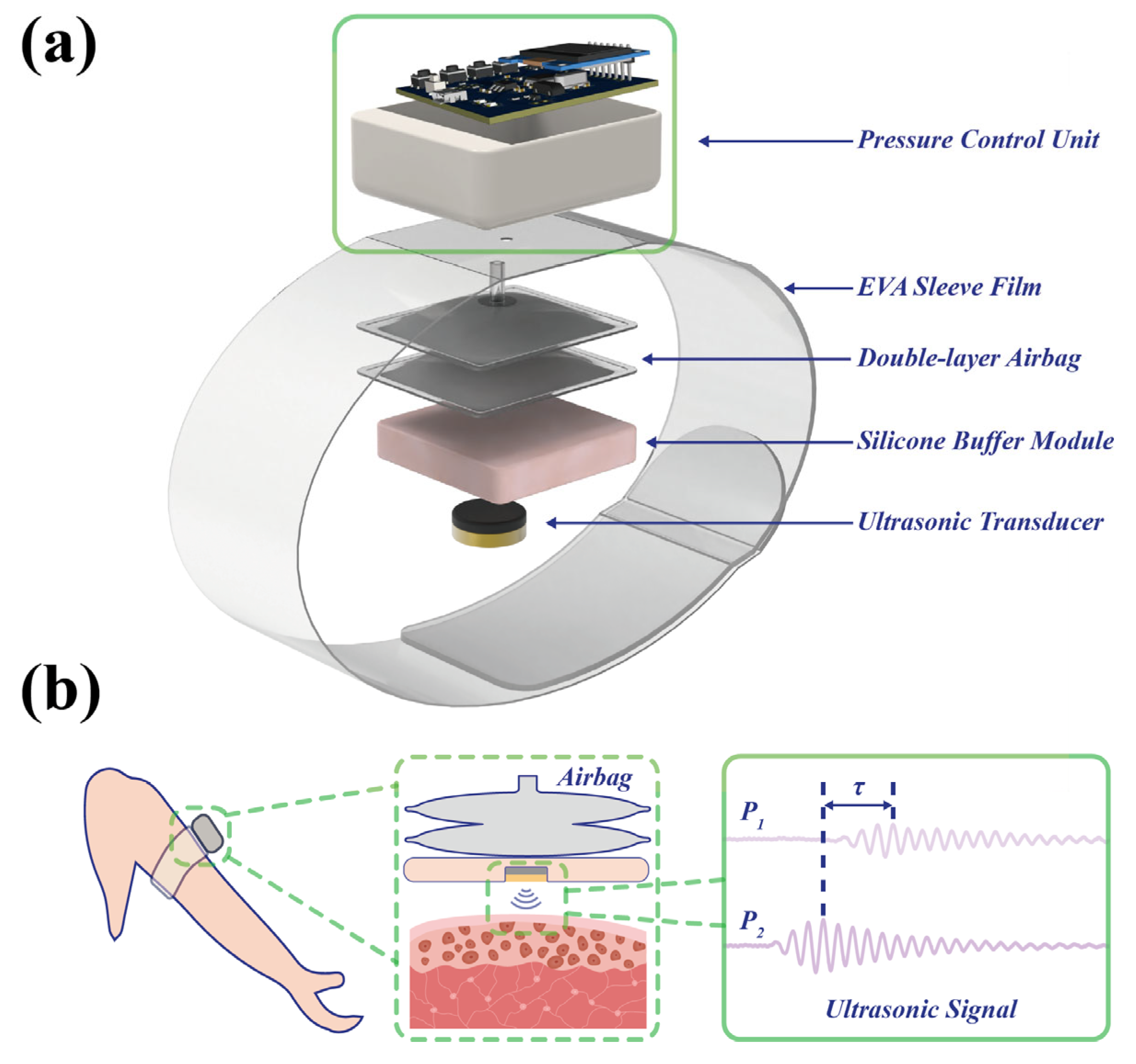 Biosensors 16 00009 g001