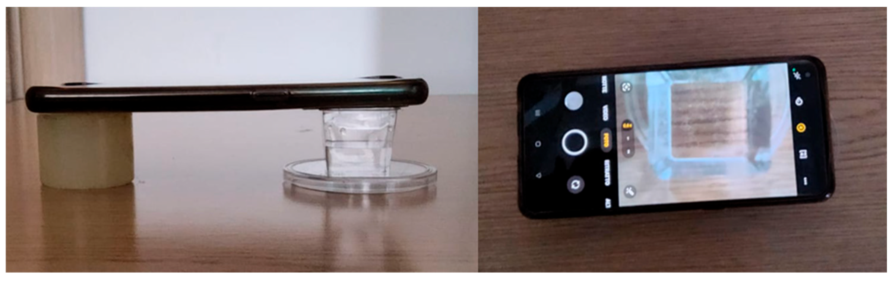 Biosensors 16 00010 g001