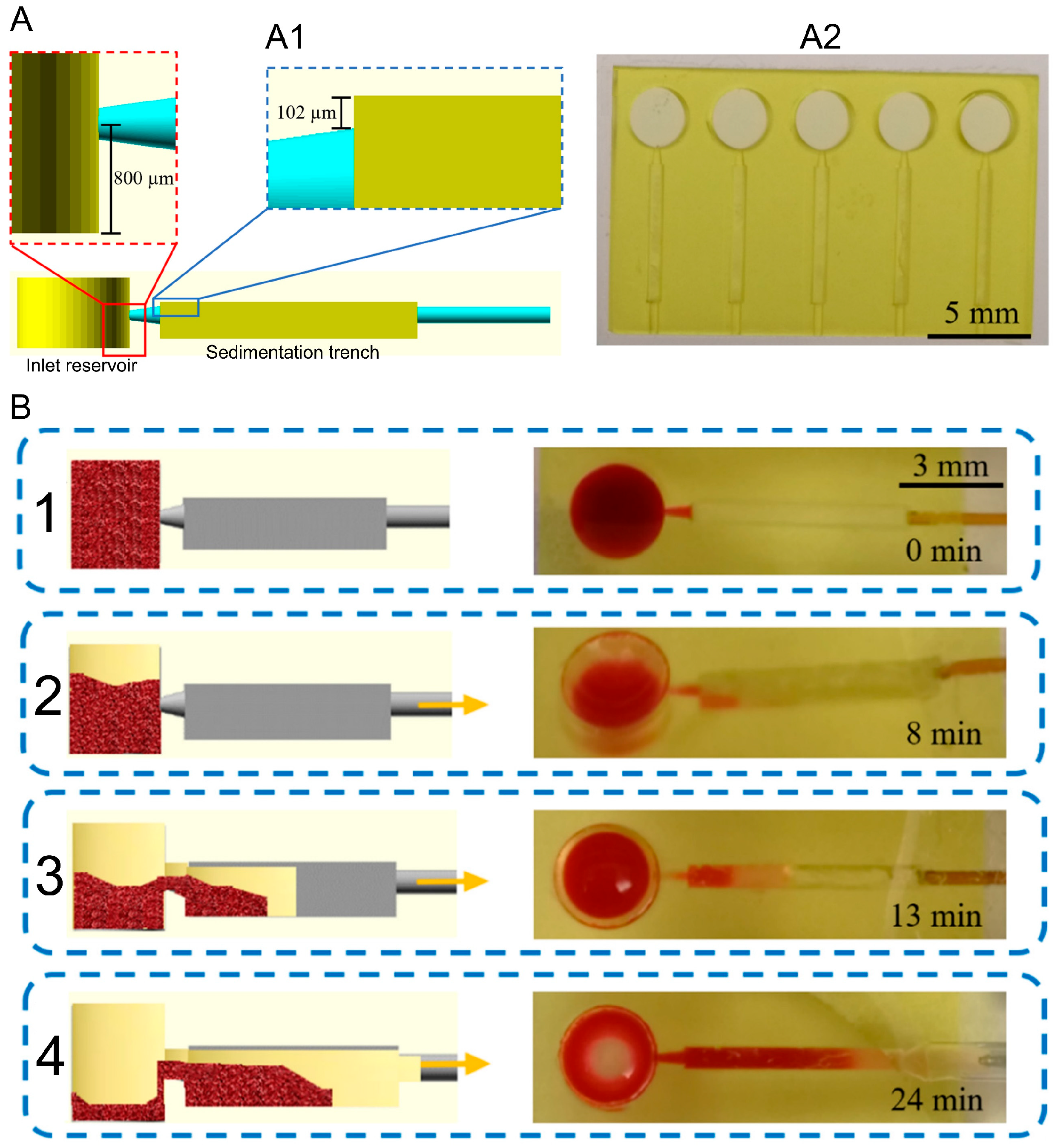 Biosensors 16 00014 g004