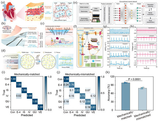 エクセルヒューマン 楽天市場】ExcelHumanの通販