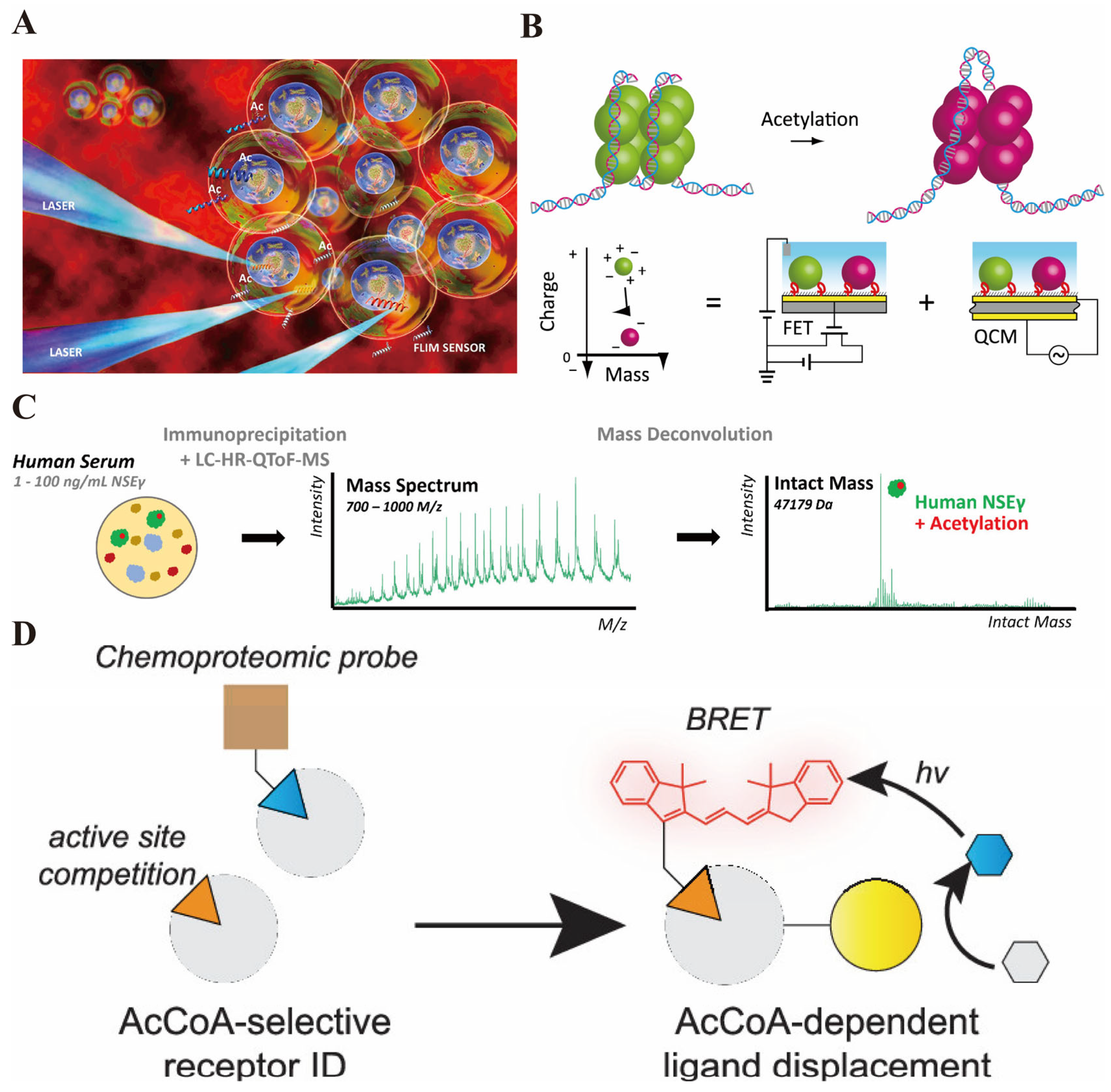 Biosensors 16 00021 g002 Biosensors 16 00021 g002