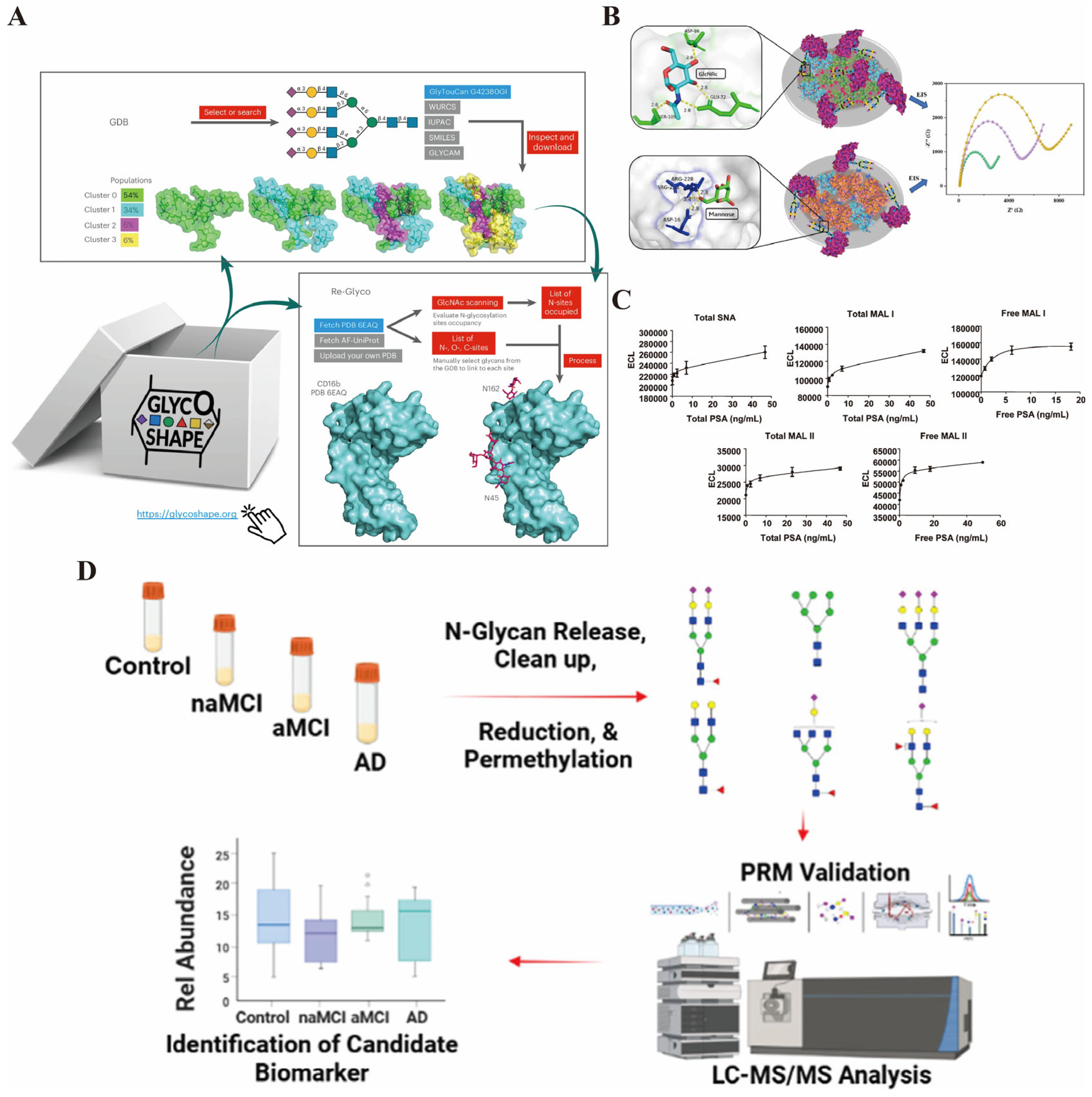 Biosensors 16 00021 g003 Biosensors 16 00021 g003
