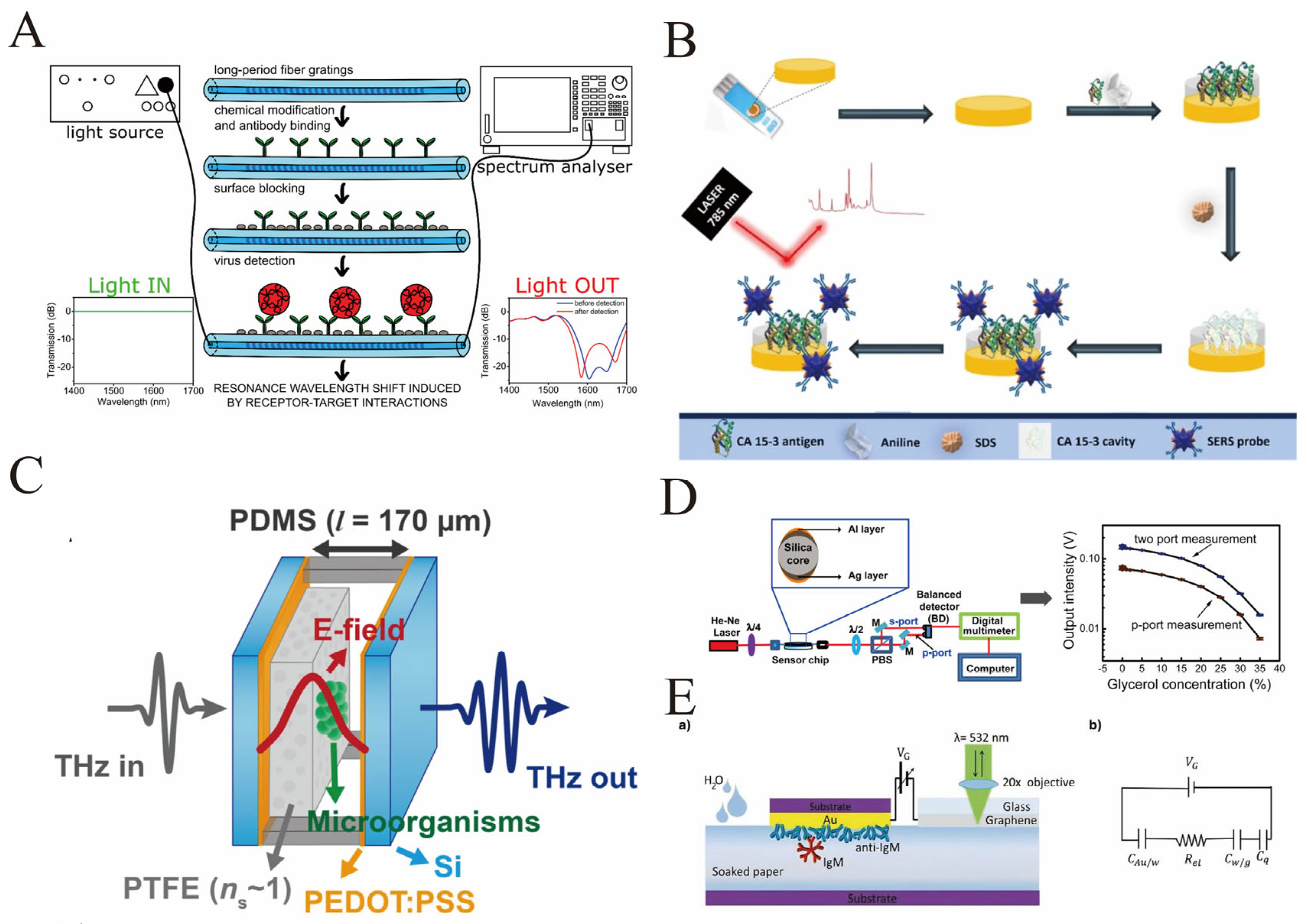 Biosensors 16 00021 g005 Biosensors 16 00021 g005