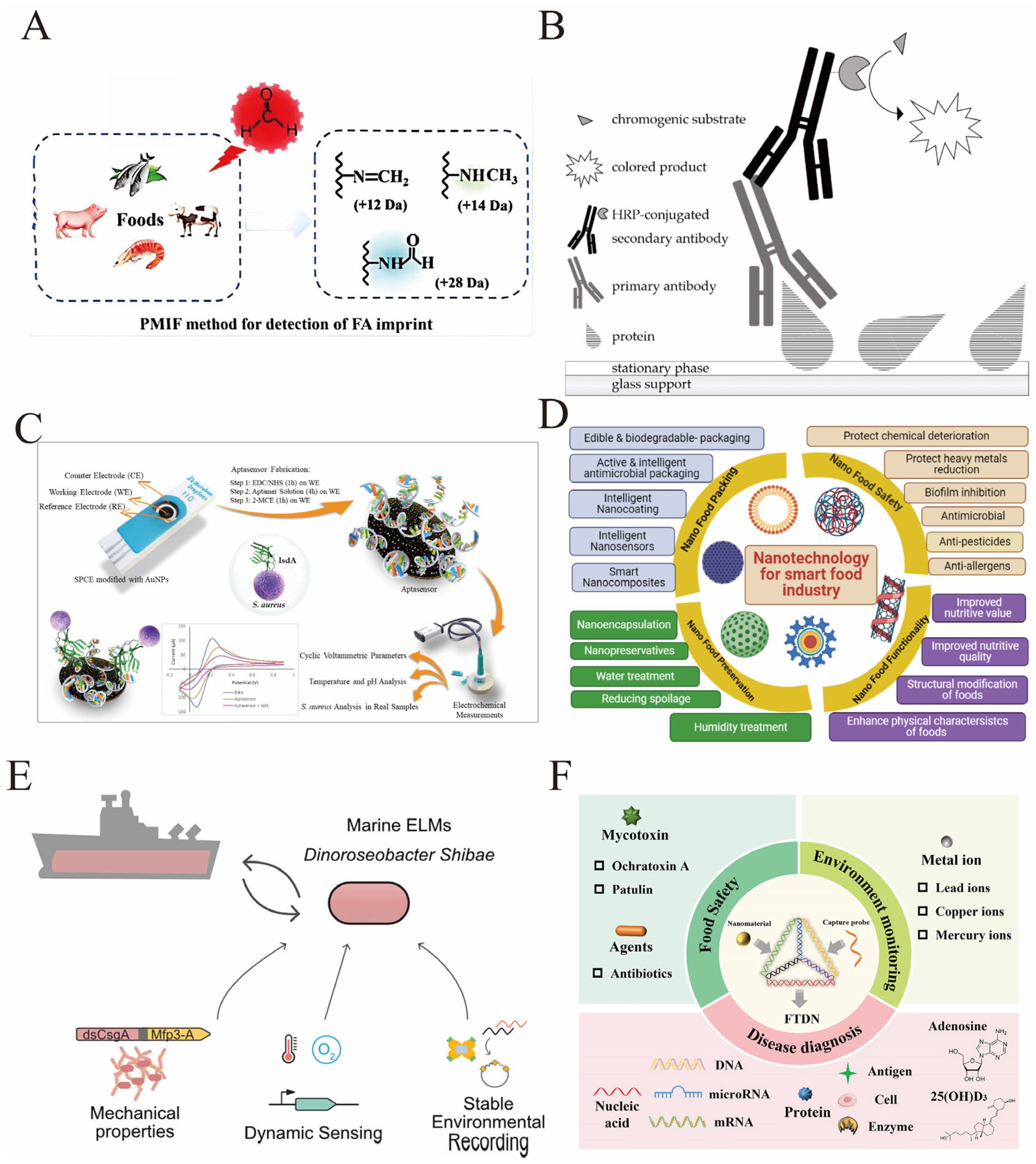 Biosensors 16 00021 g007 Biosensors 16 00021 g007