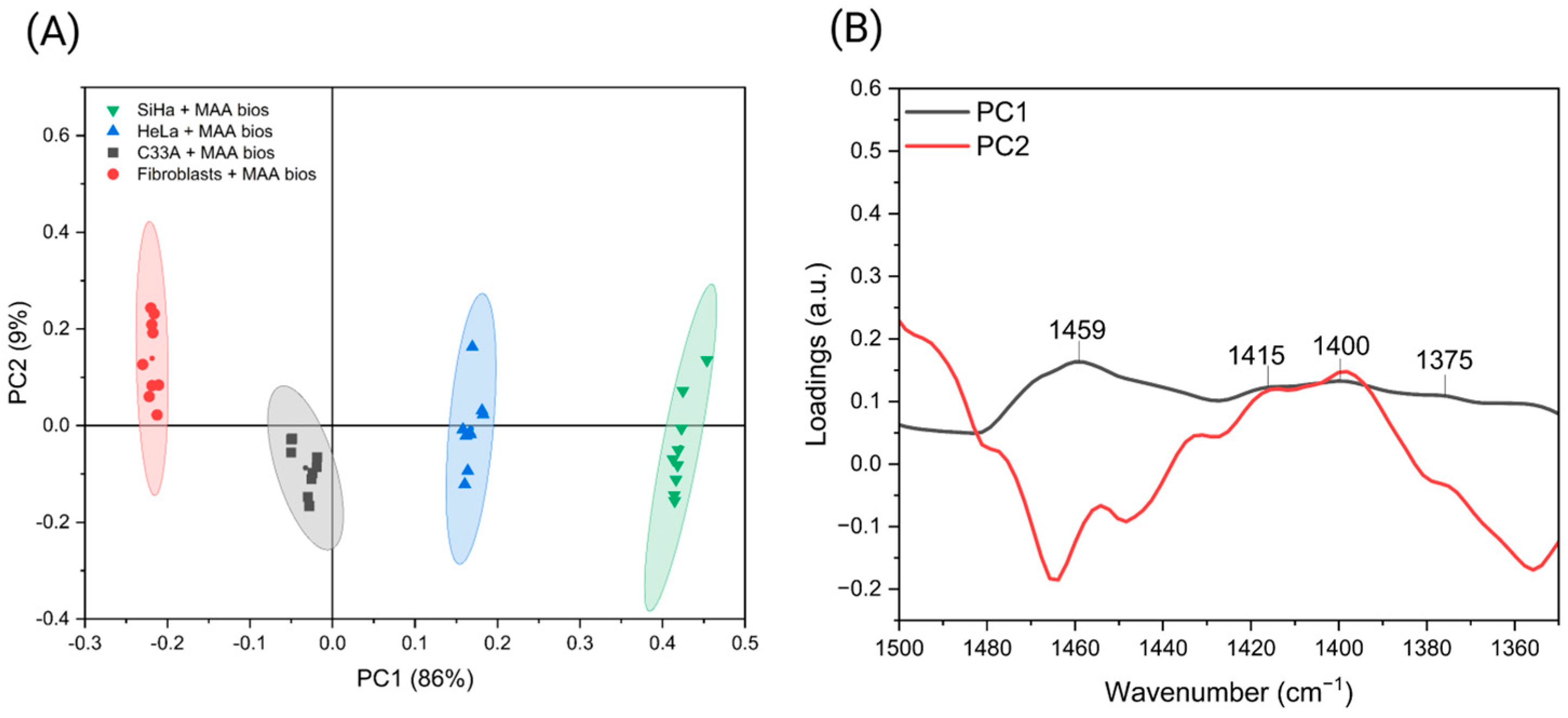 Biosensors 16 00024 g003