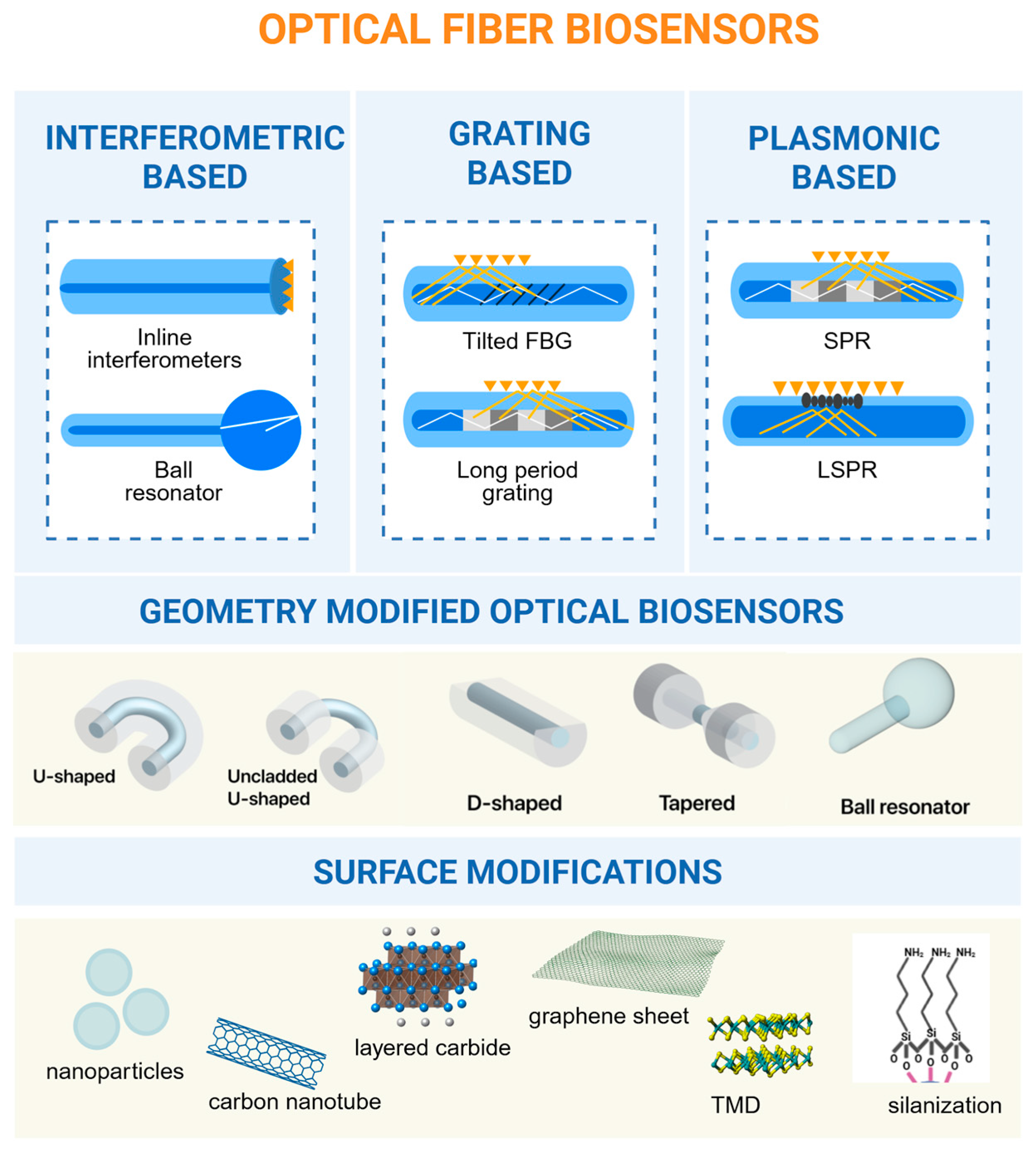 Biosensors 16 00025 g001