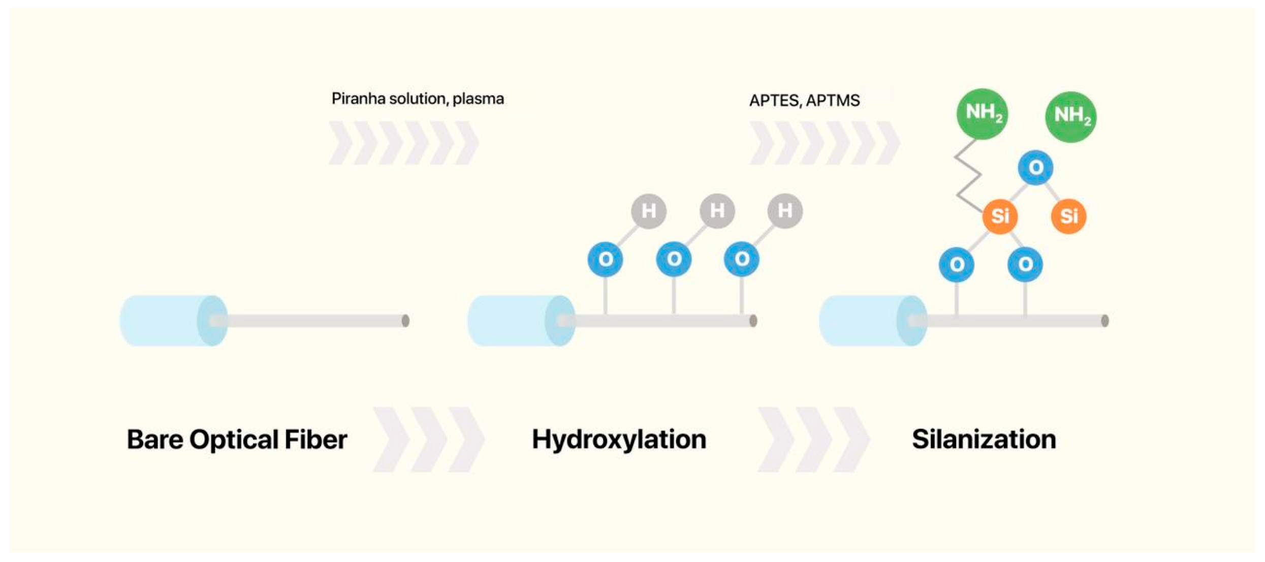 Biosensors 16 00025 g003