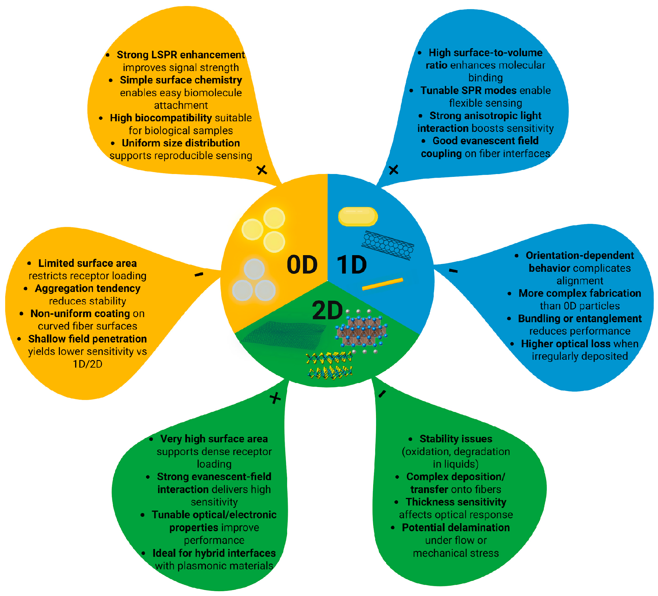 Biosensors 16 00025 g004