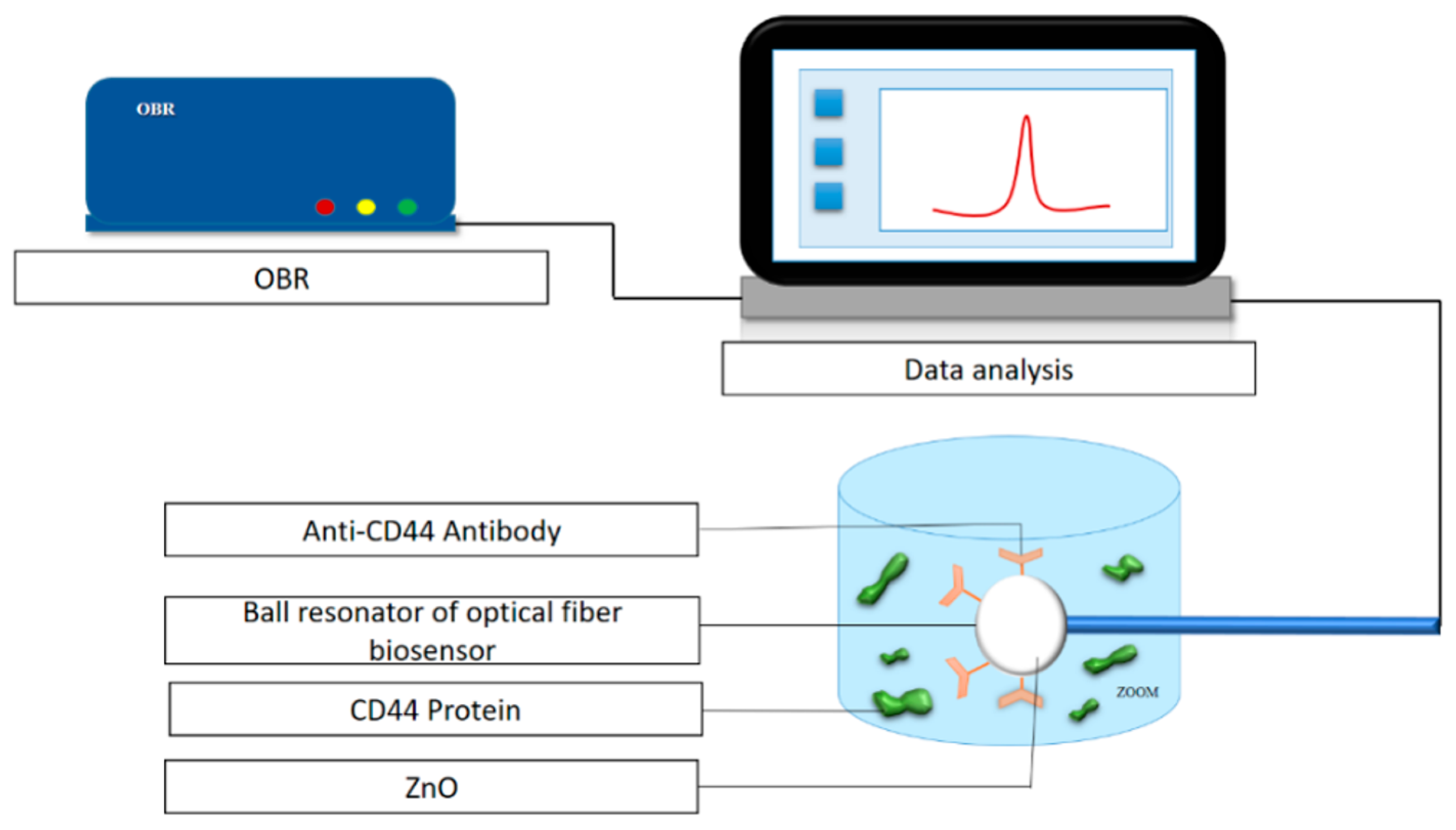 Biosensors 16 00025 g007