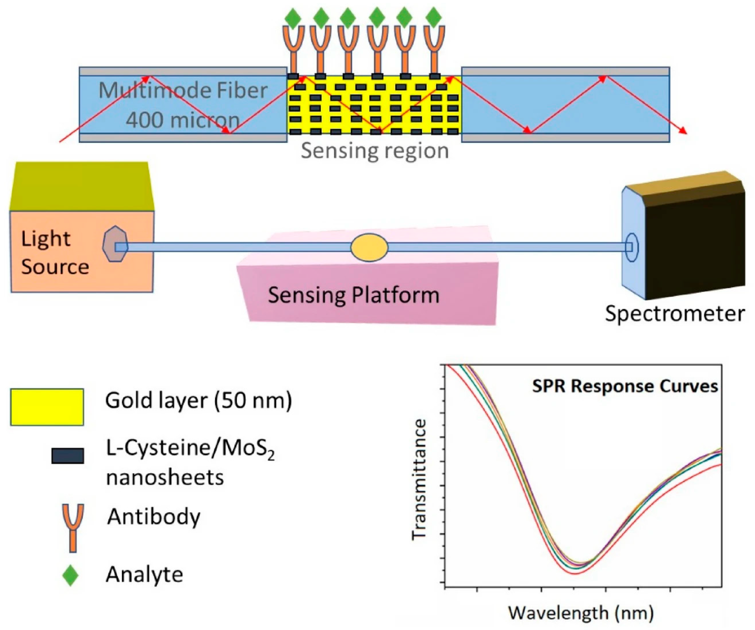 Biosensors 16 00025 g008