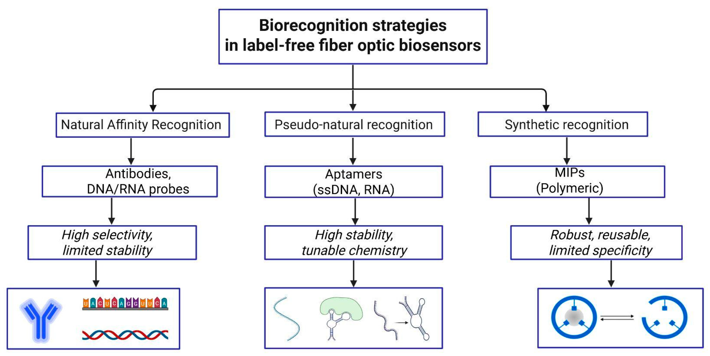 Biosensors 16 00025 g009
