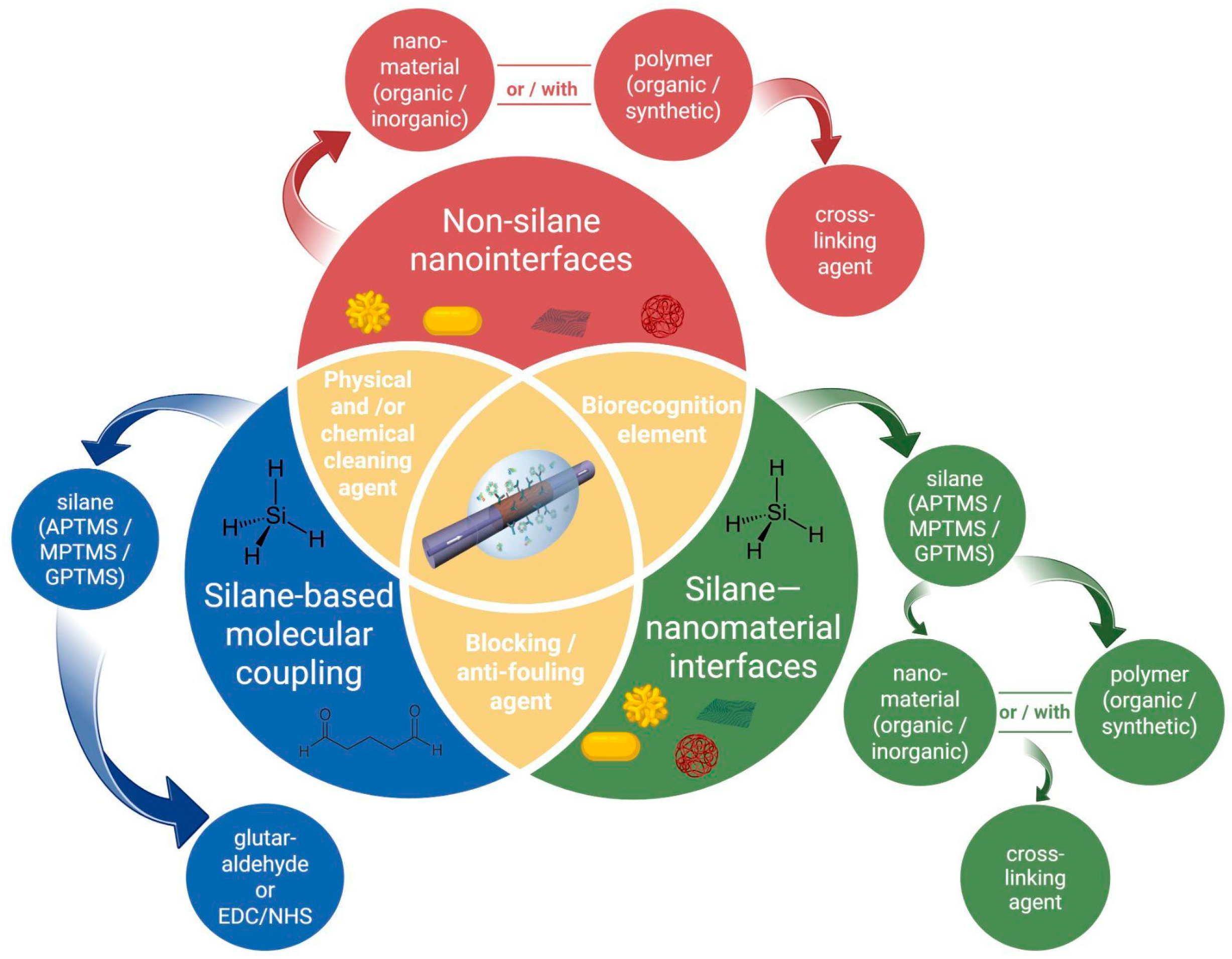Biosensors 16 00025 g011