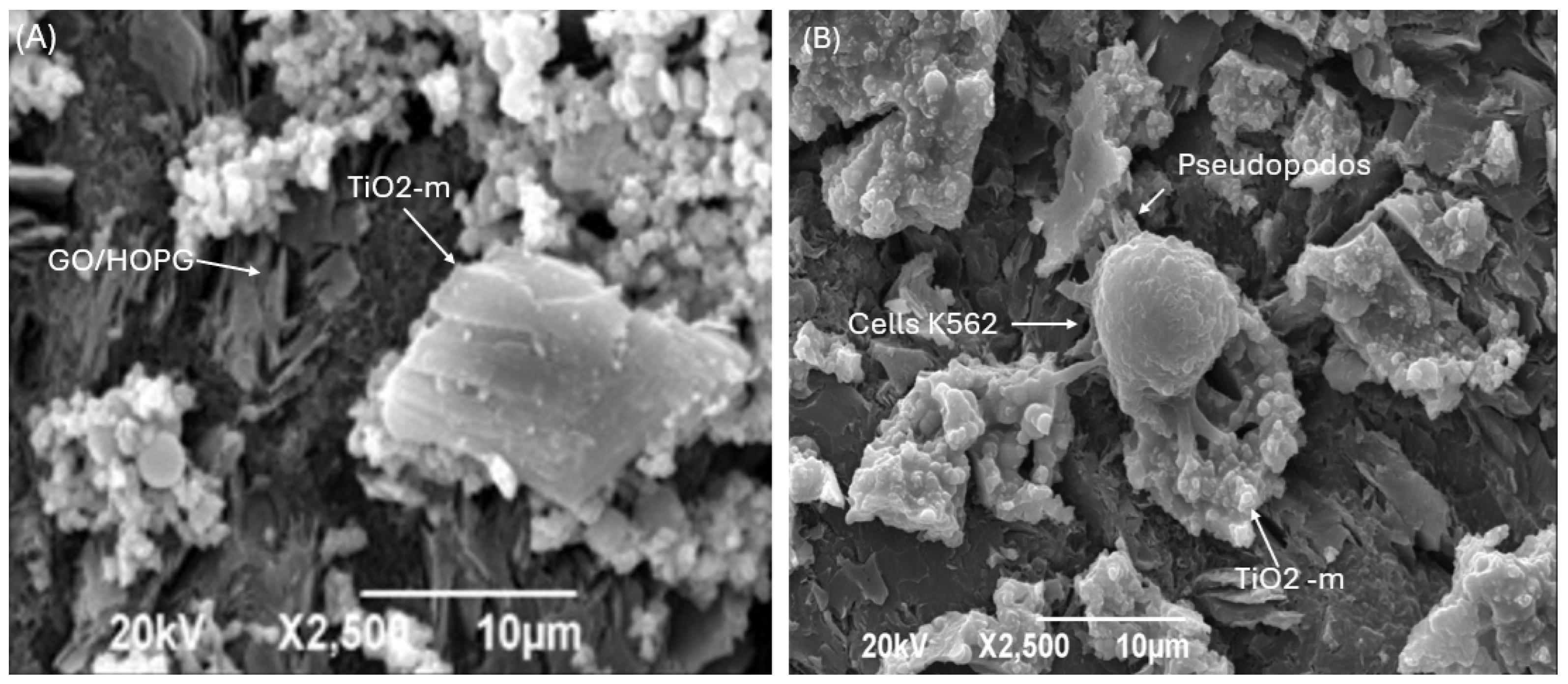 Biosensors 16 00028 g003 Biosensors 16 00028 g003