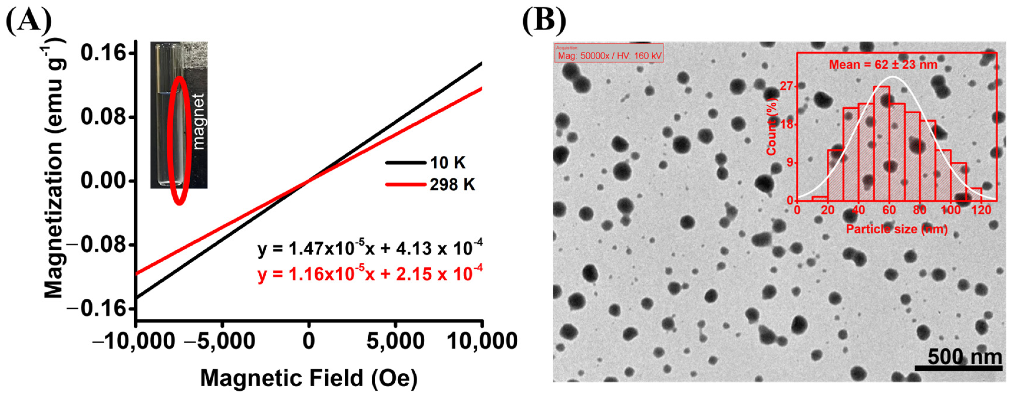 Biosensors 16 00029 g001
