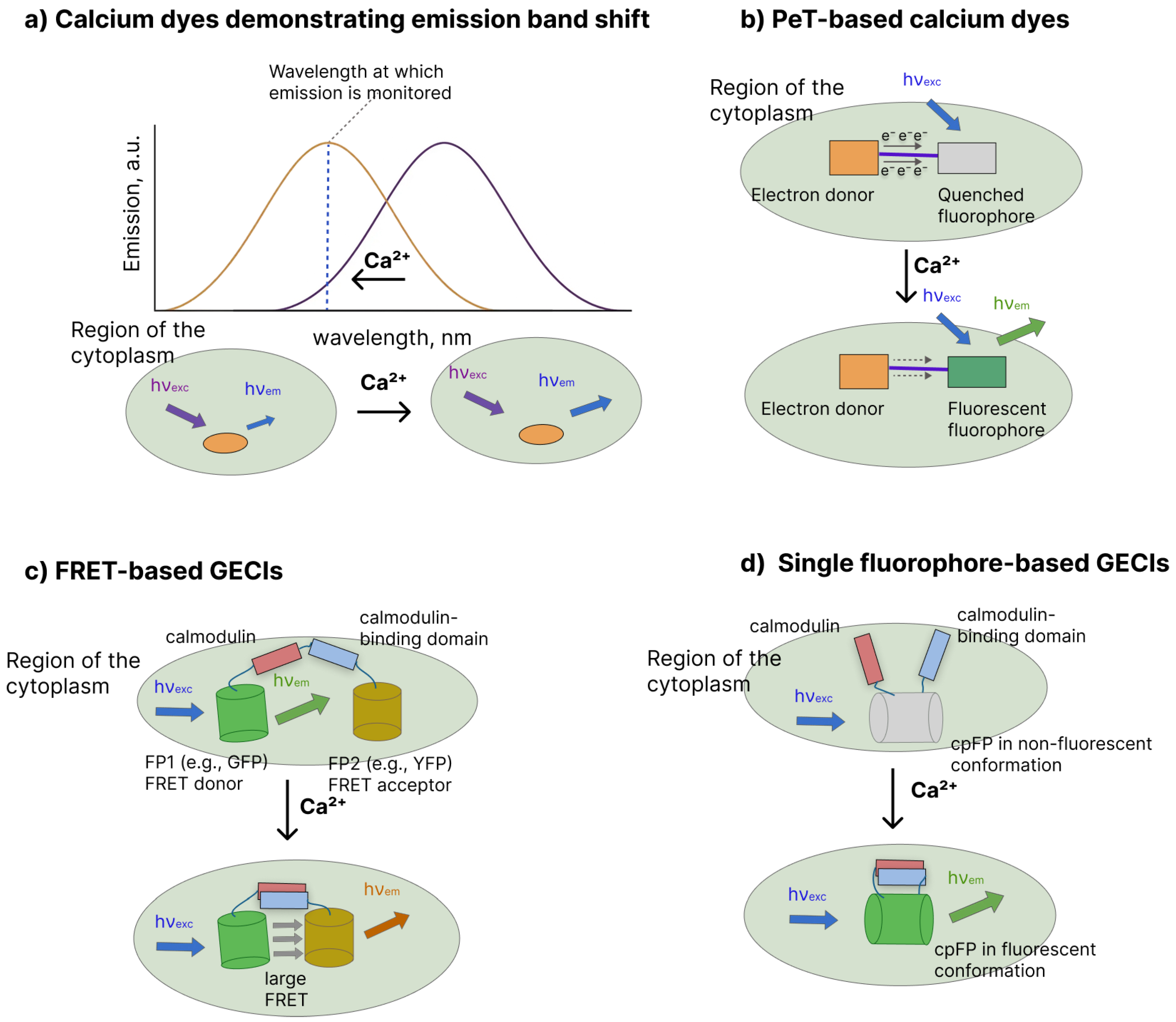 Biosensors 16 00031 g002