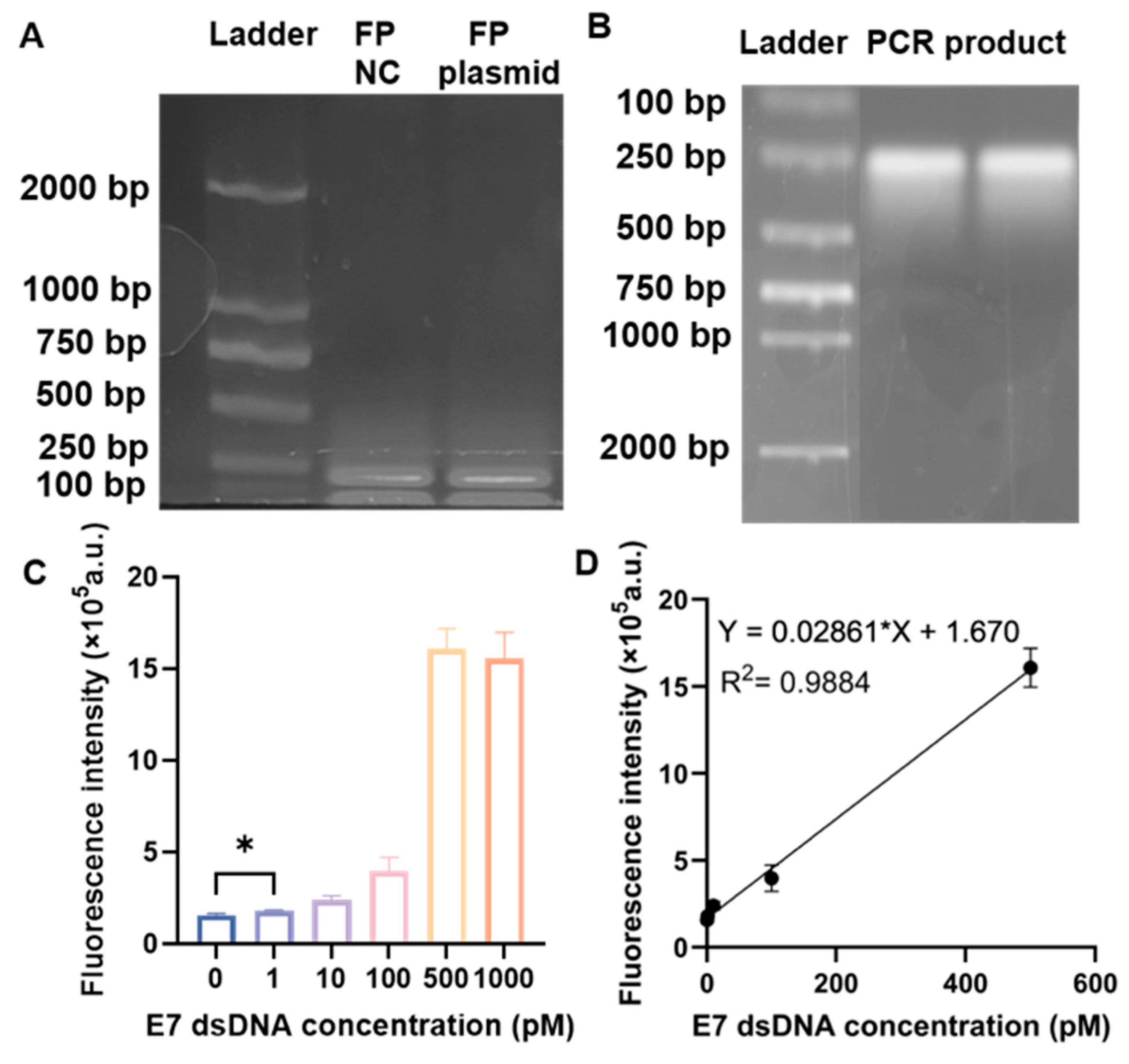 Biosensors 16 00032 g002 Biosensors 16 00032 g002