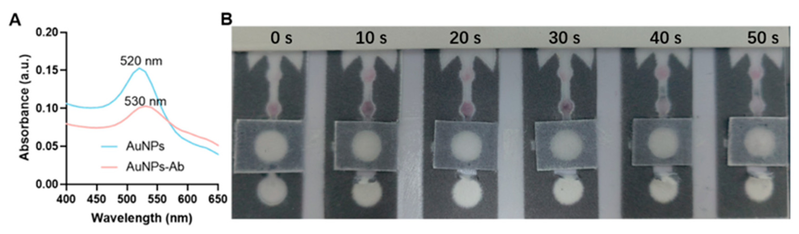 Biosensors 16 00032 g003 Biosensors 16 00032 g003