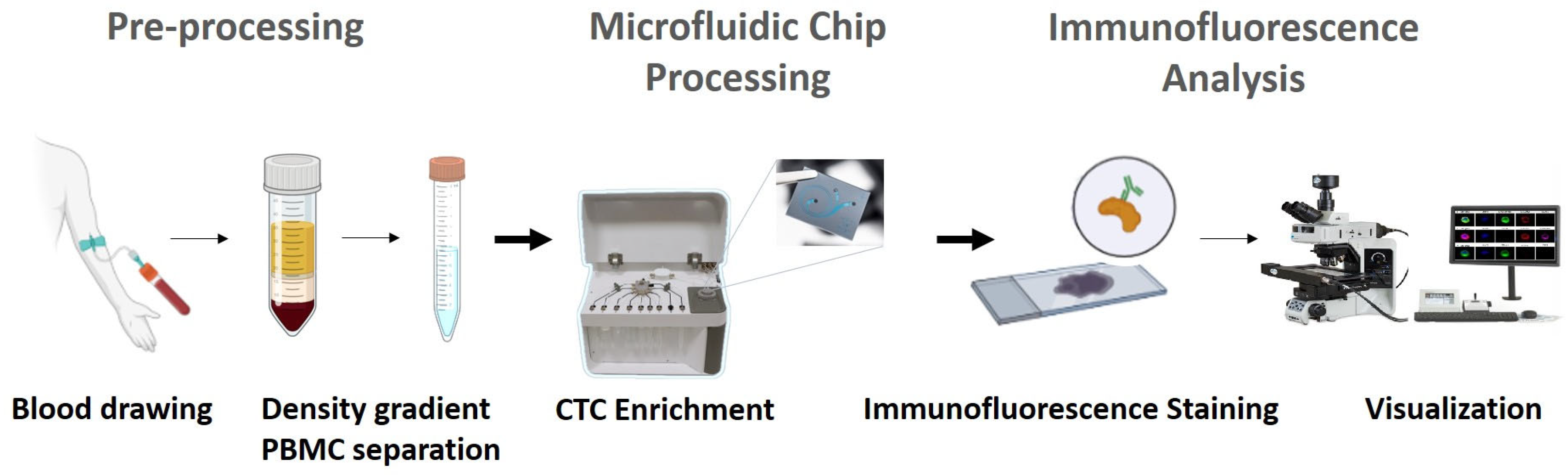 Biosensors 16 00034 g001 Biosensors 16 00034 g001