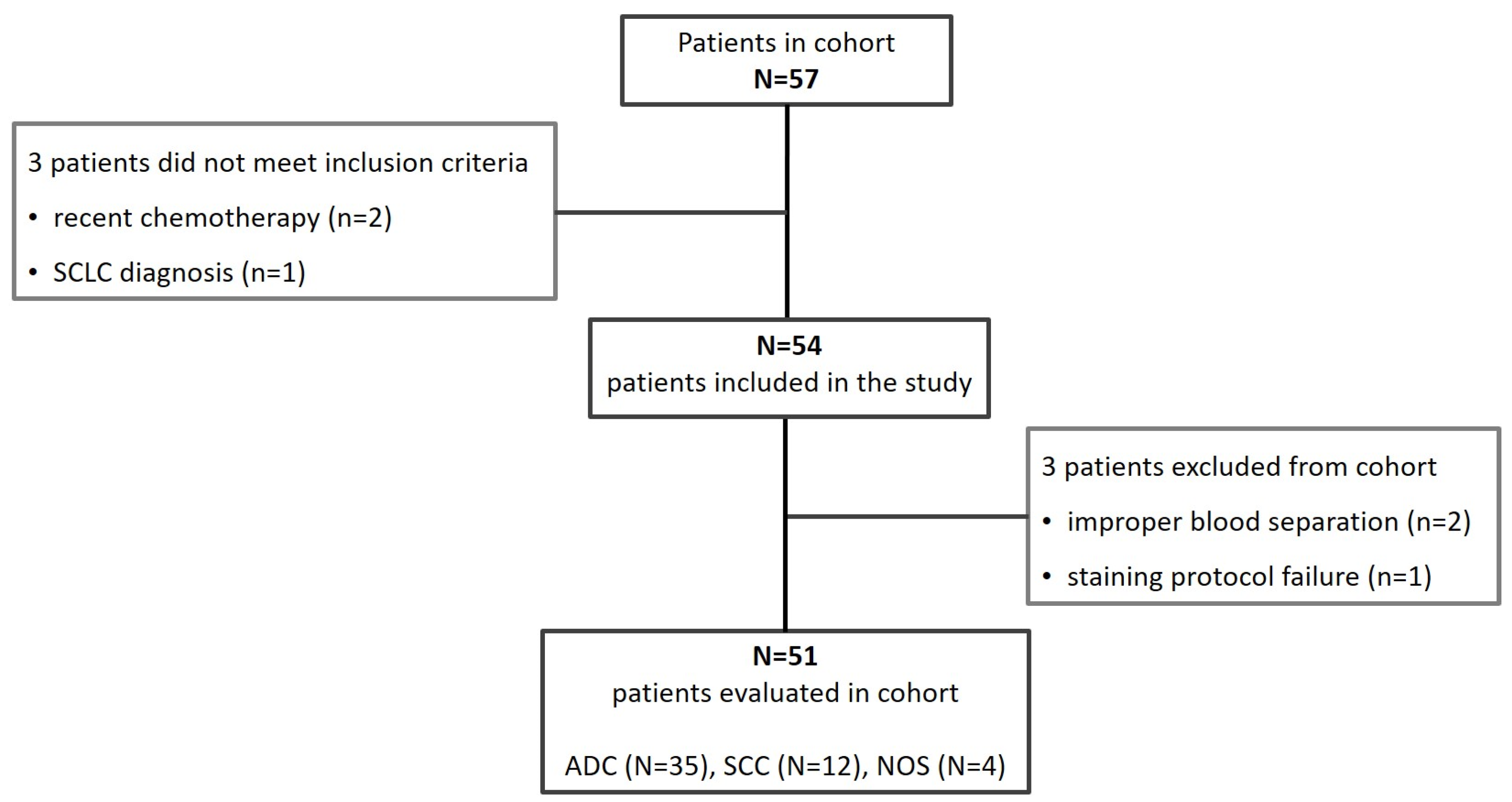 Biosensors 16 00034 g002 Biosensors 16 00034 g002