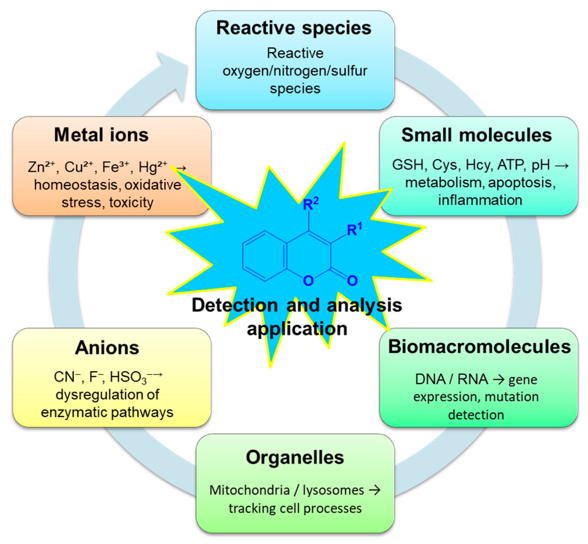 Biosensors 16 00036 g014