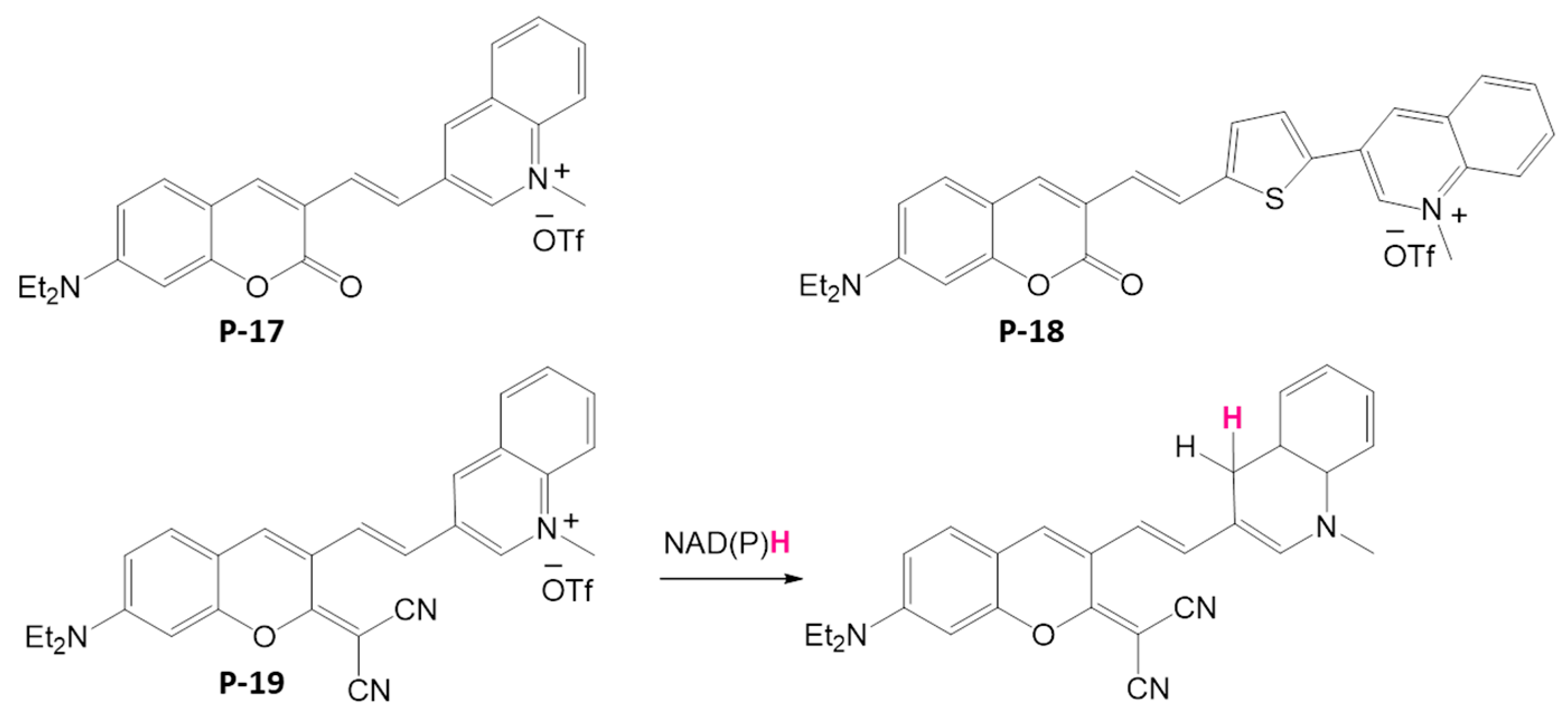 Biosensors 16 00036 sch012