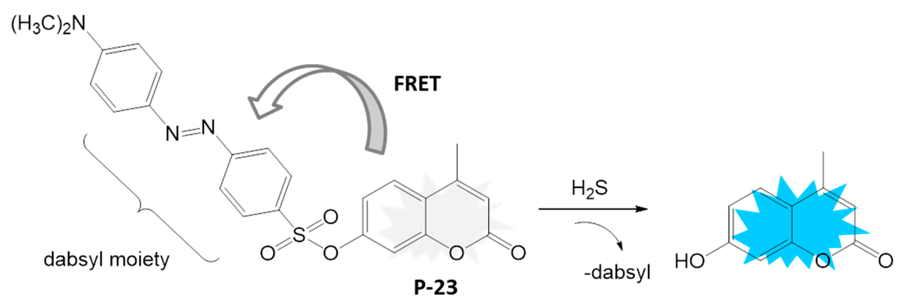 Biosensors 16 00036 sch013