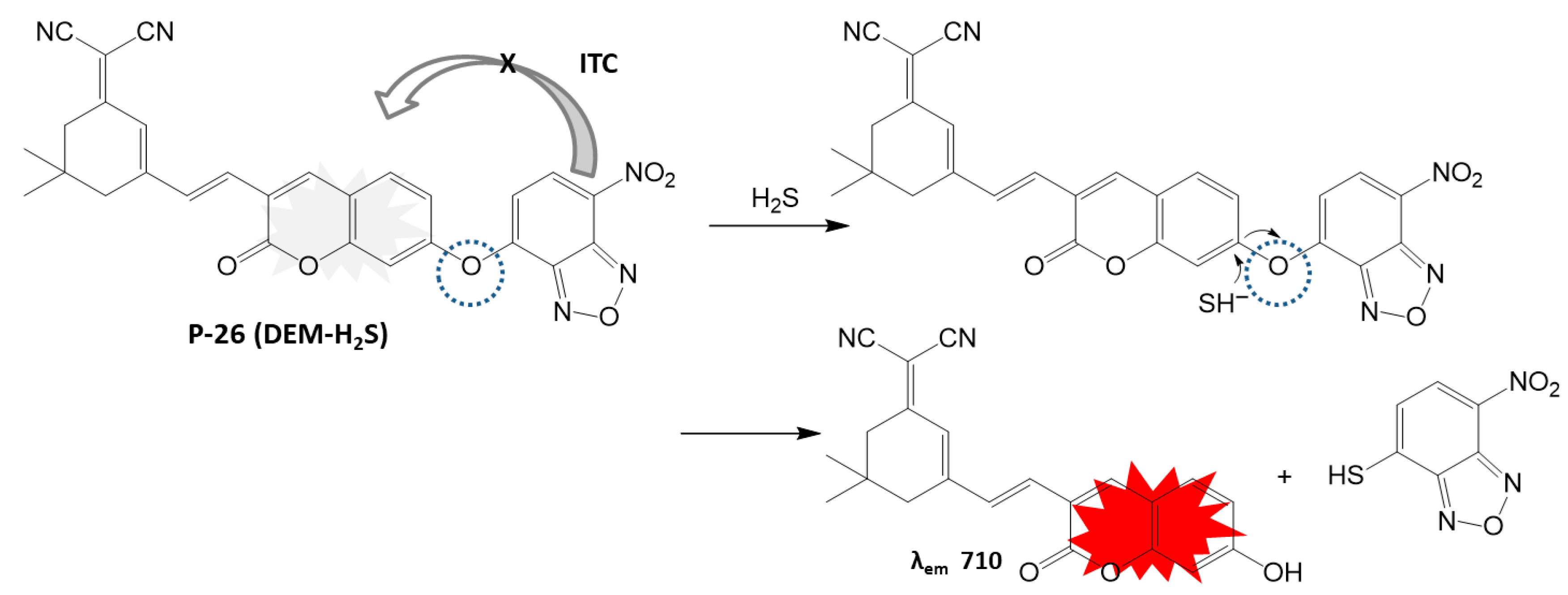 Biosensors 16 00036 sch014