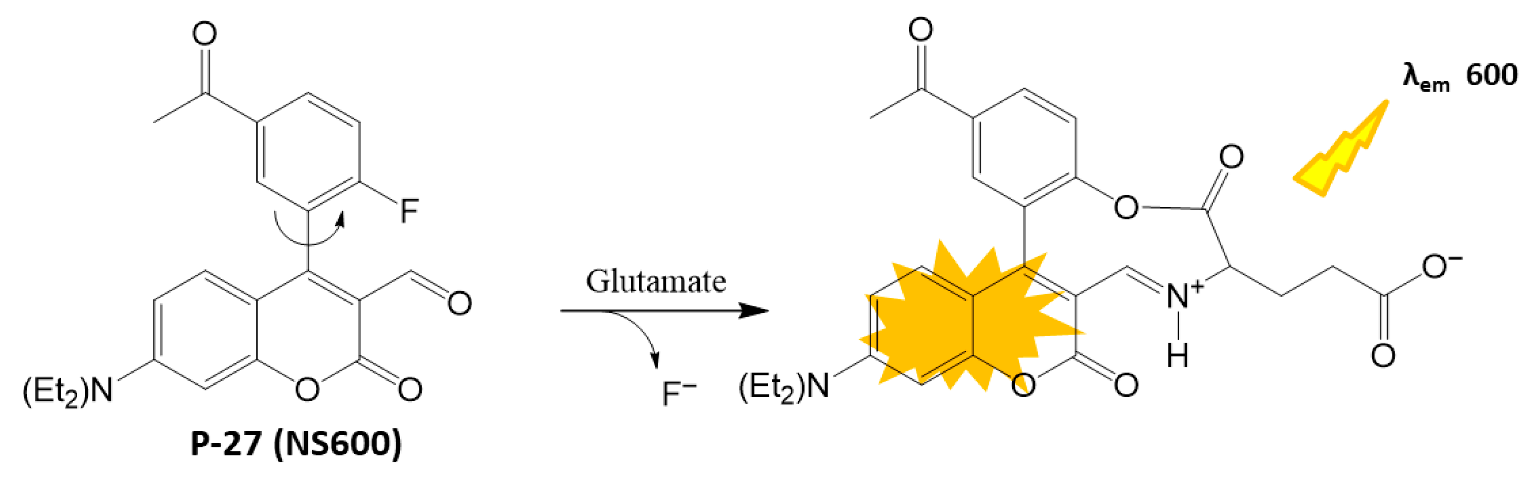 Biosensors 16 00036 sch015