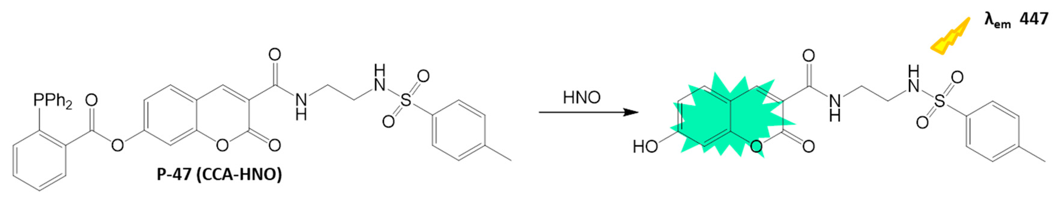 Biosensors 16 00036 sch024