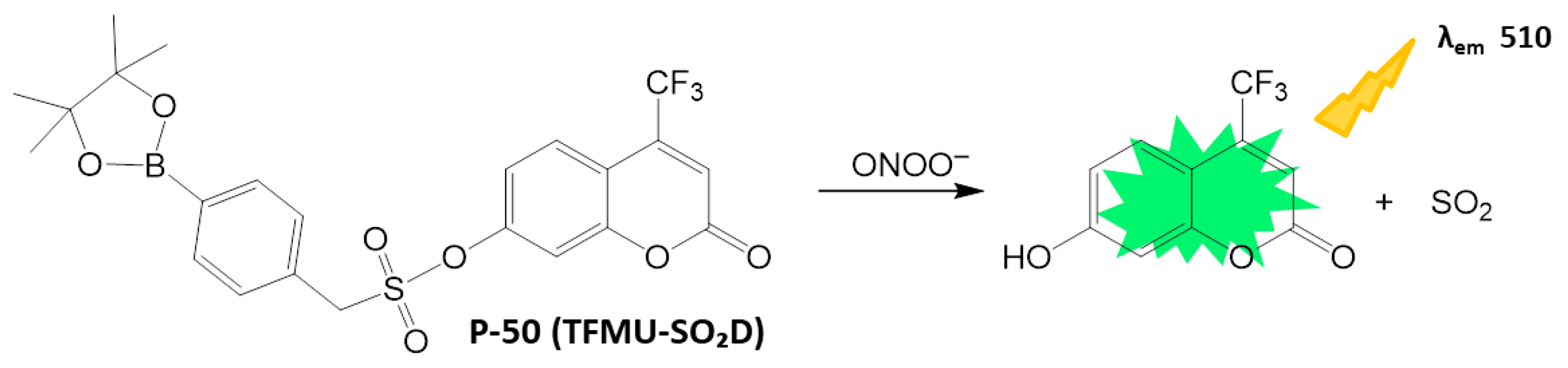 Biosensors 16 00036 sch025