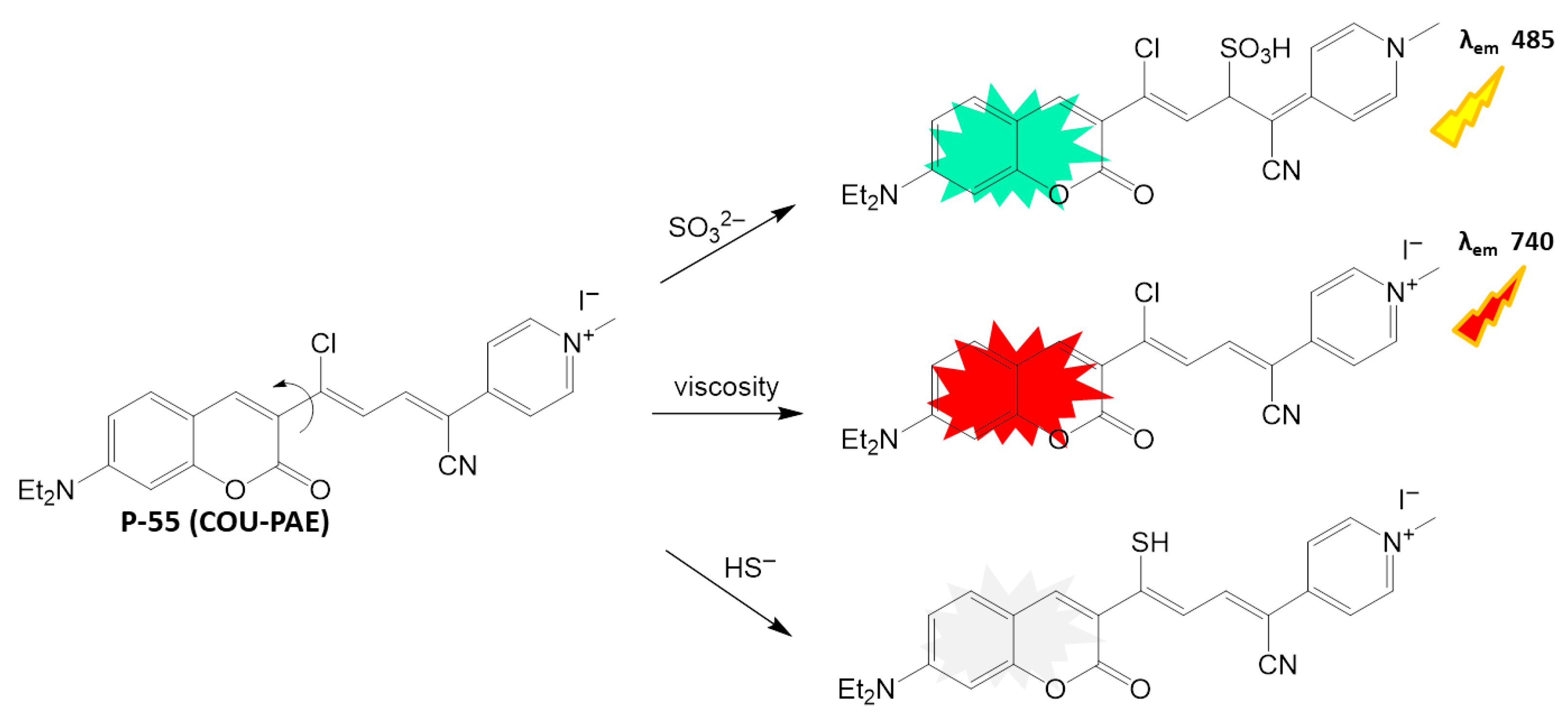 Biosensors 16 00036 sch030