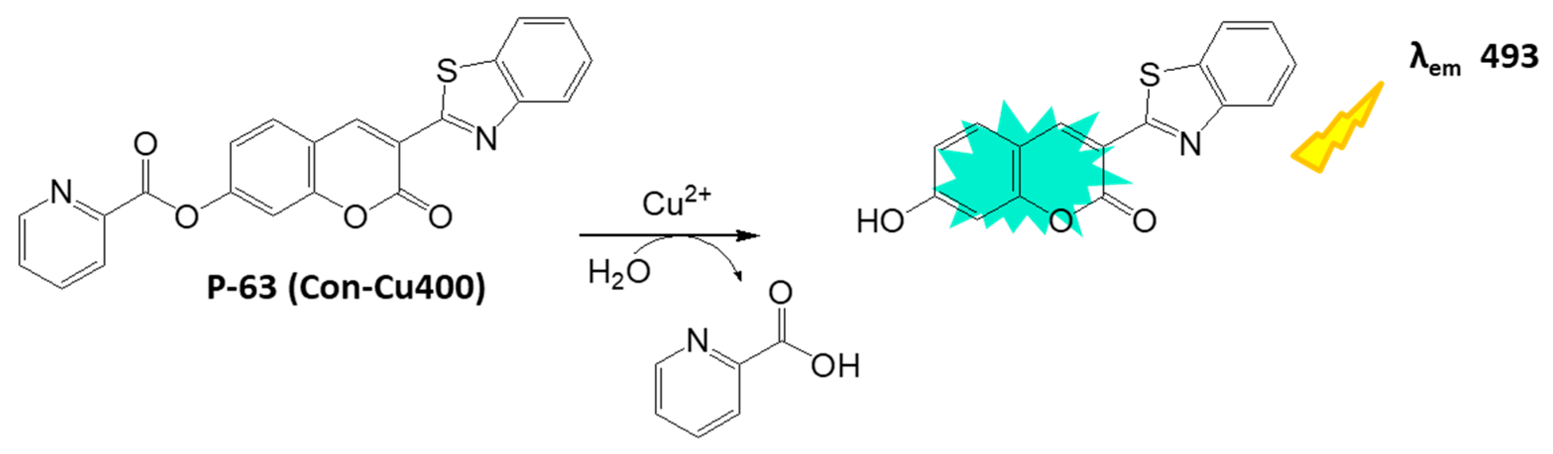 Biosensors 16 00036 sch033