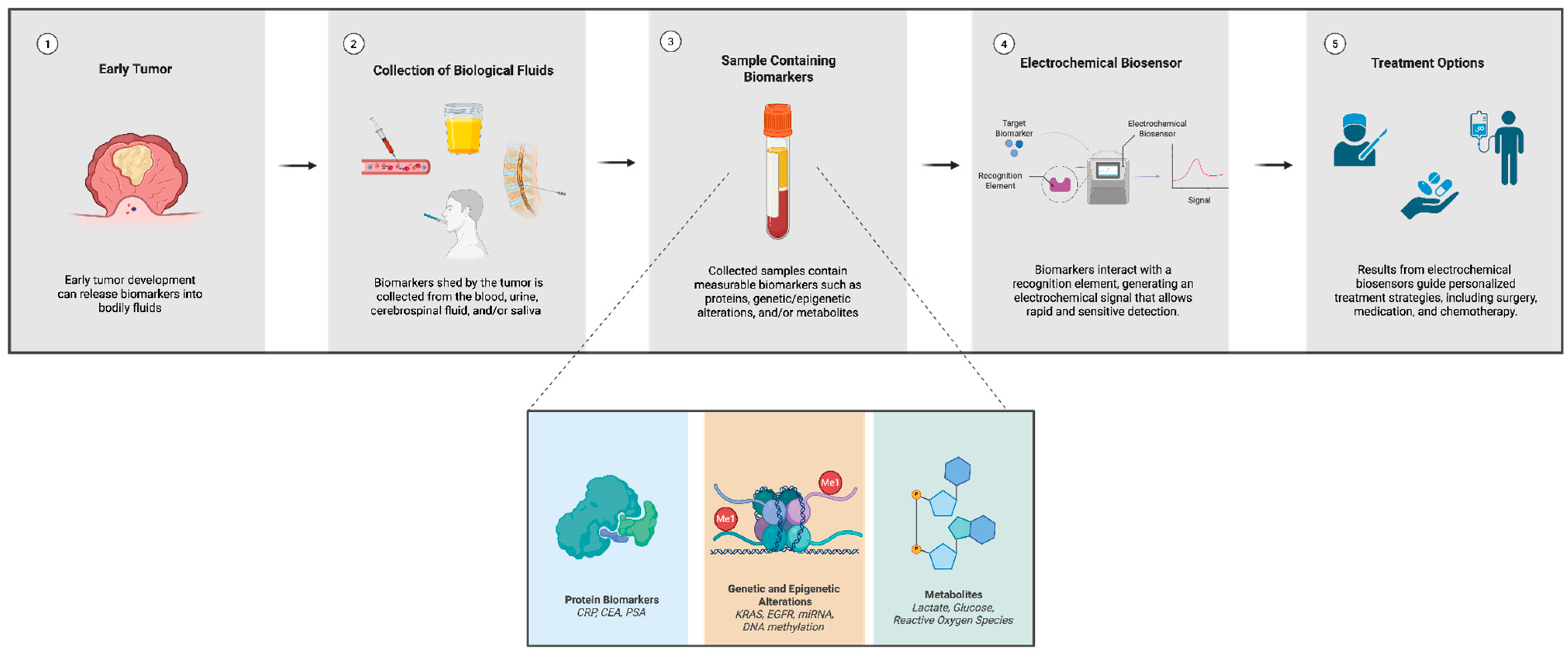 Biosensors 16 00044 g001 Biosensors 16 00044 g001