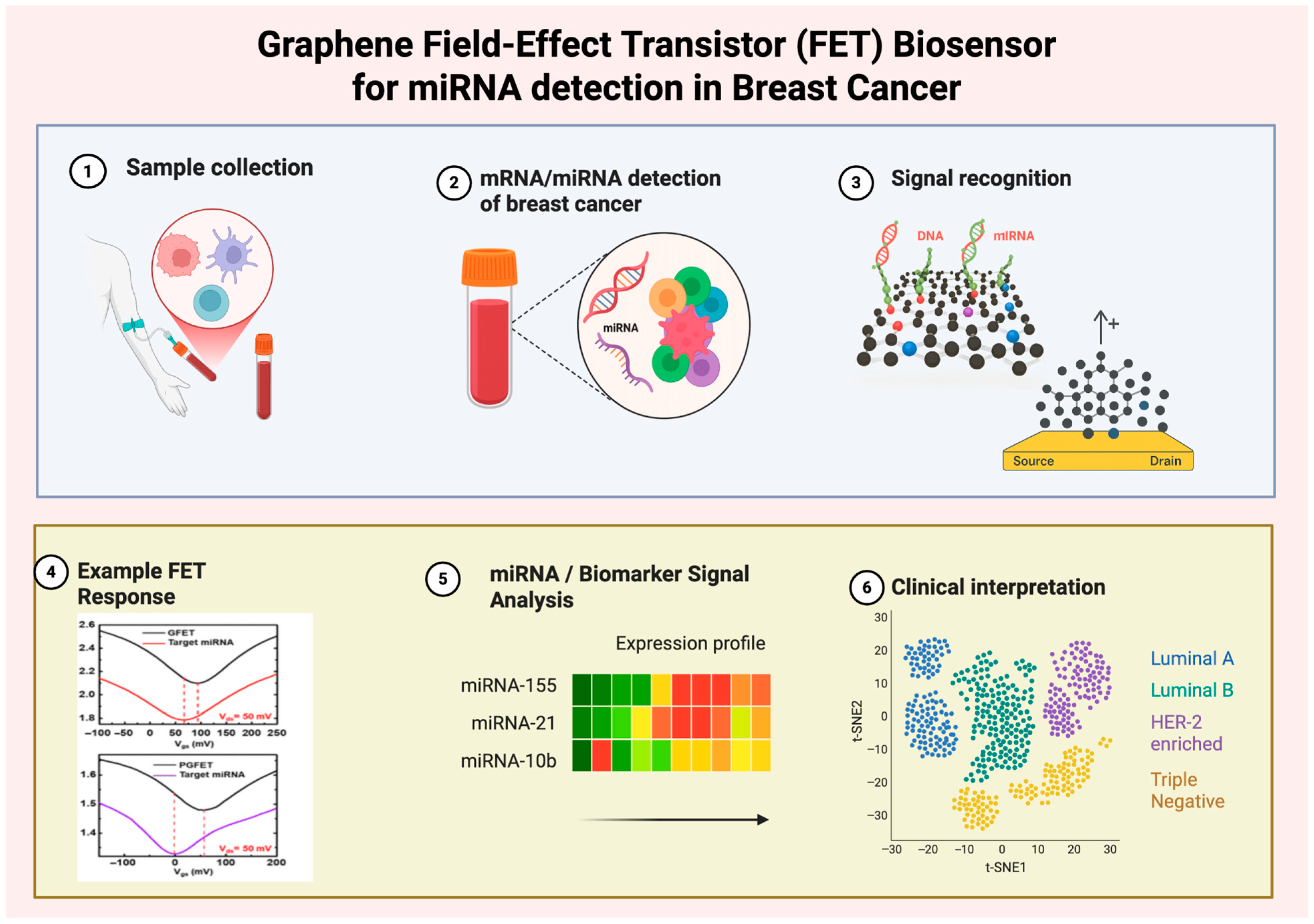 Biosensors 16 00044 g002 Biosensors 16 00044 g002