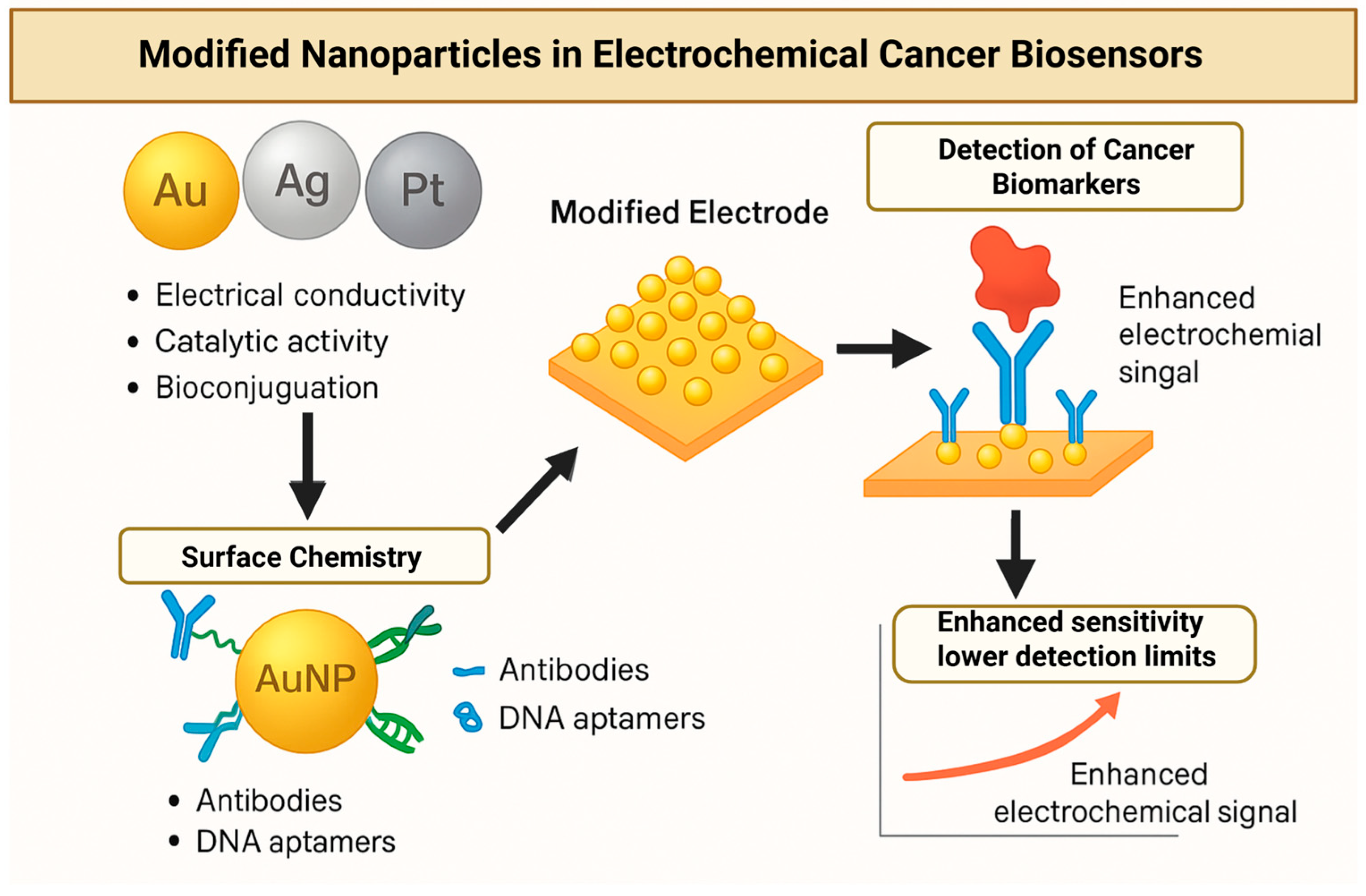 Biosensors 16 00044 g003 Biosensors 16 00044 g003
