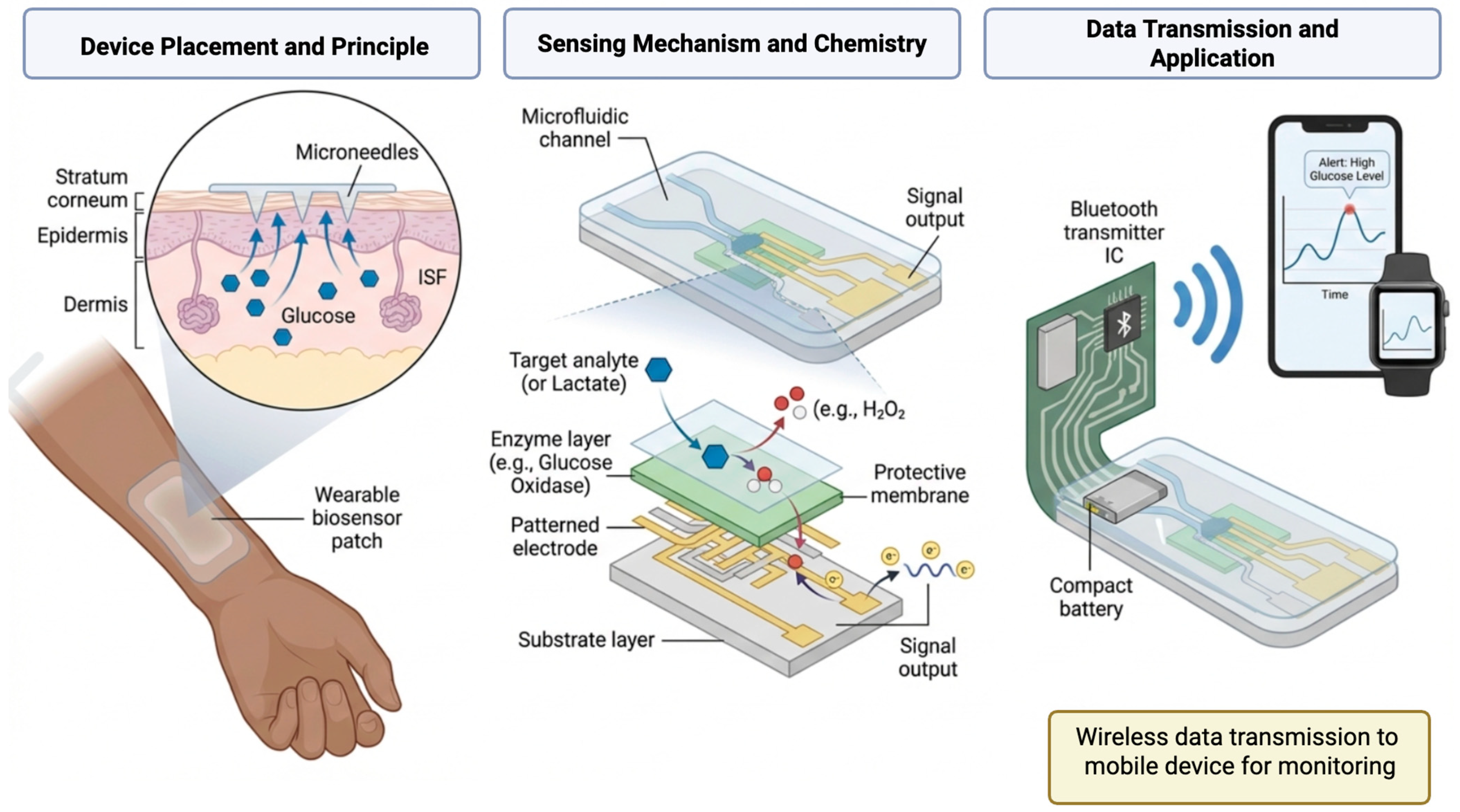 Biosensors 16 00044 g004 Biosensors 16 00044 g004