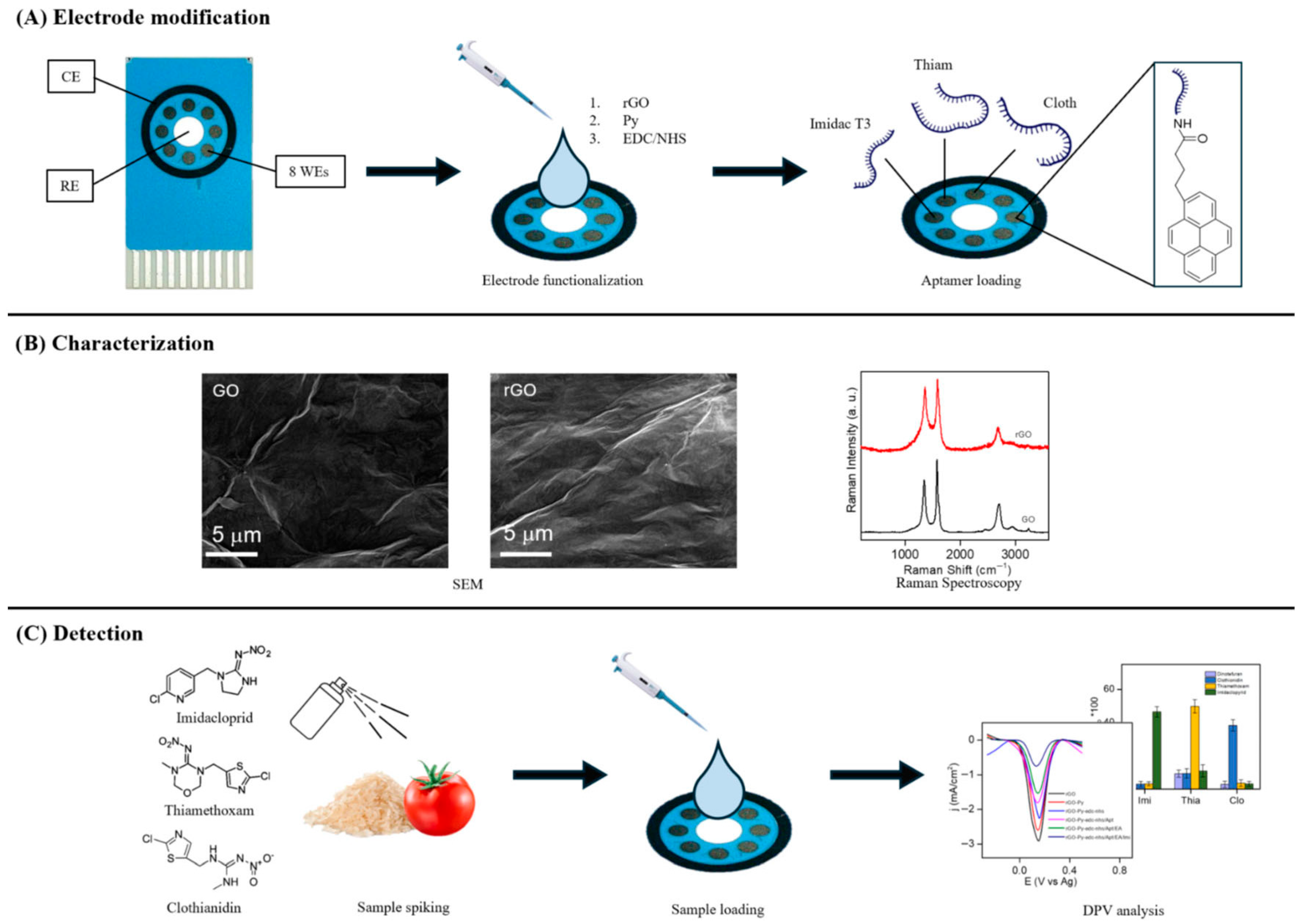 Biosensors 16 00062 g004 Biosensors 16 00062 g004
