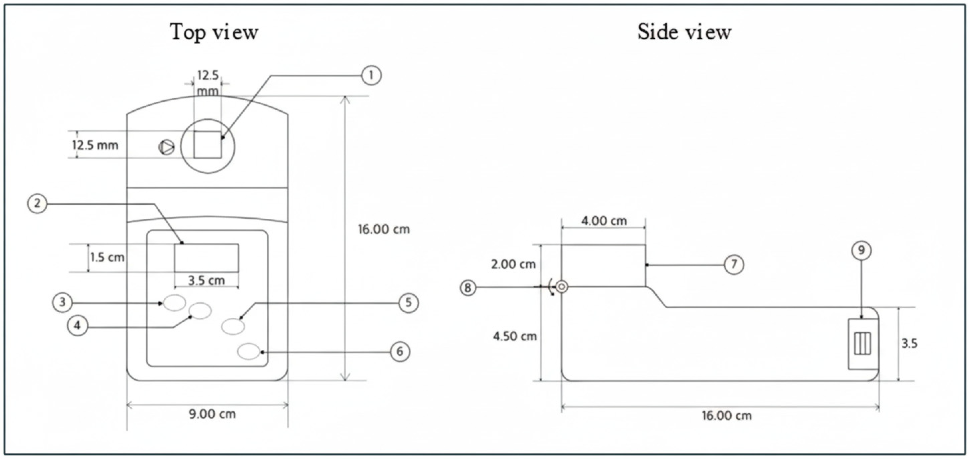 Biosensors 16 00076 g001