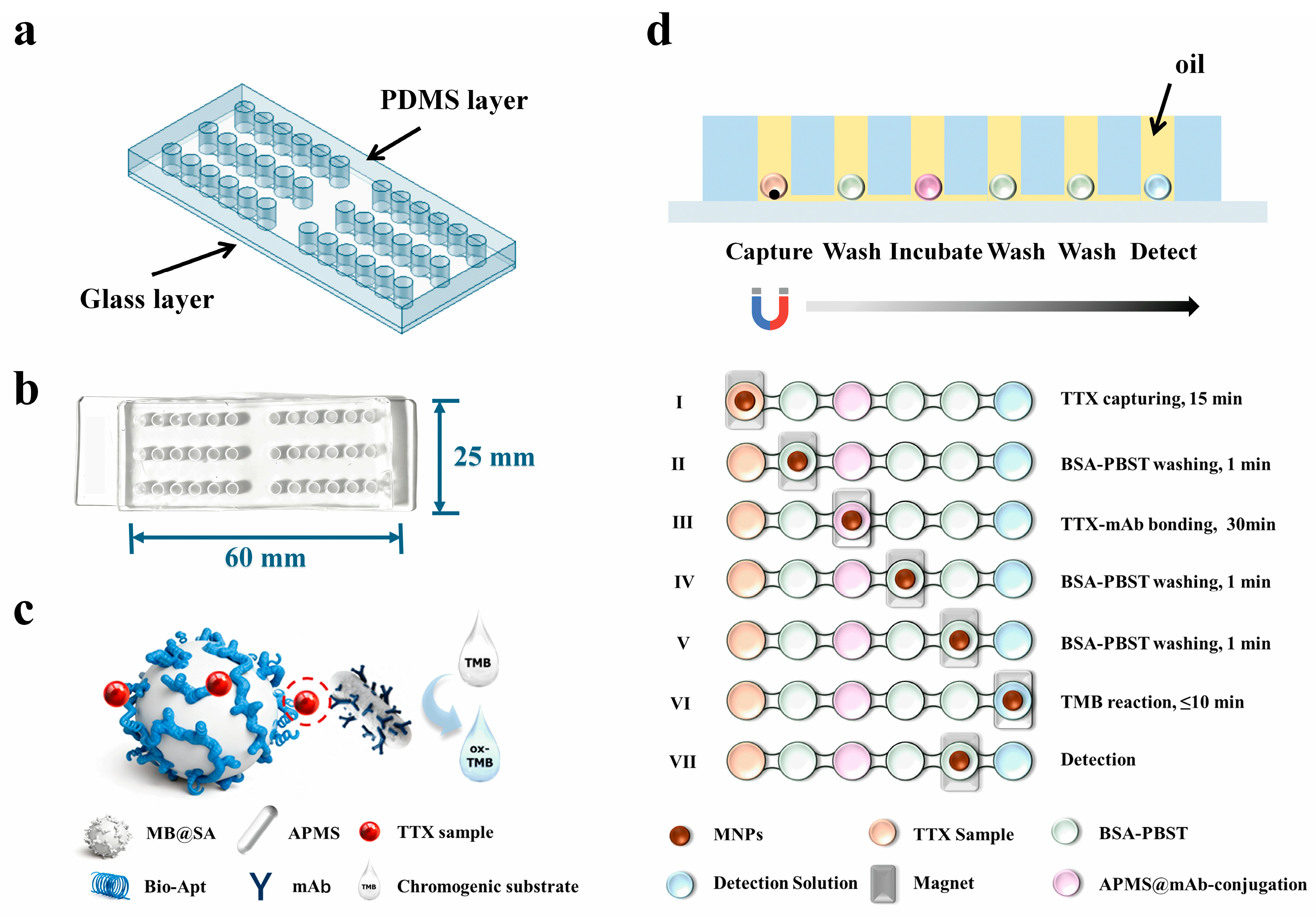 Biosensors 16 00089 g001