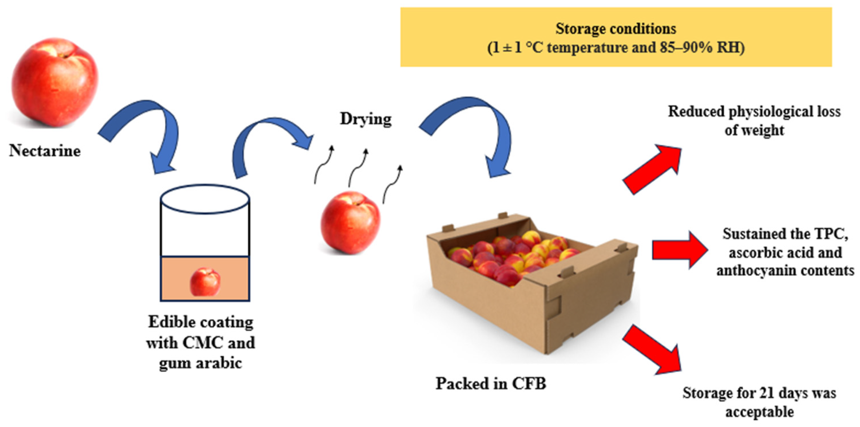 Biosensors 16 00094 g005