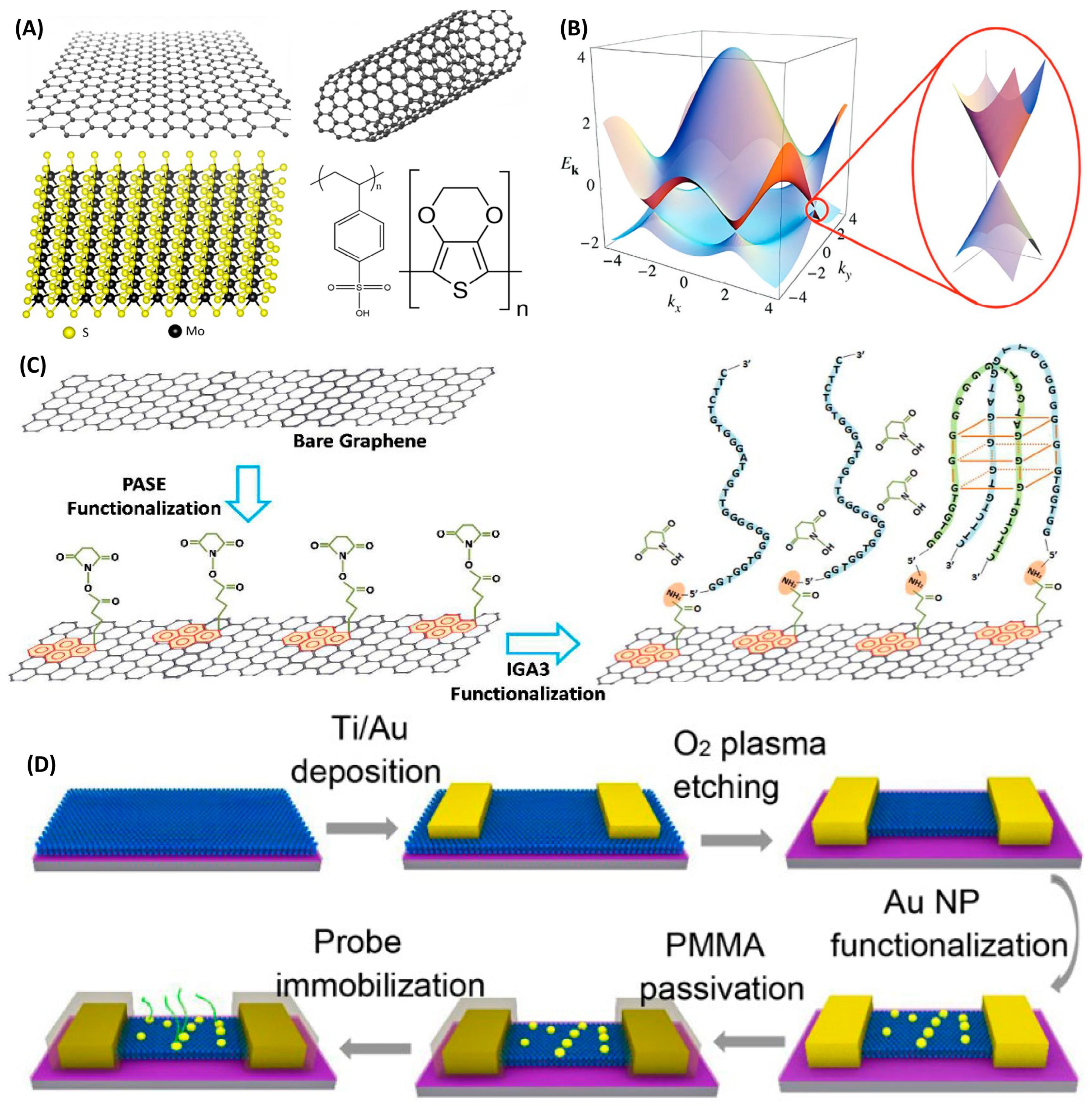 Biosensors 16 00095 g005 Biosensors 16 00095 g005