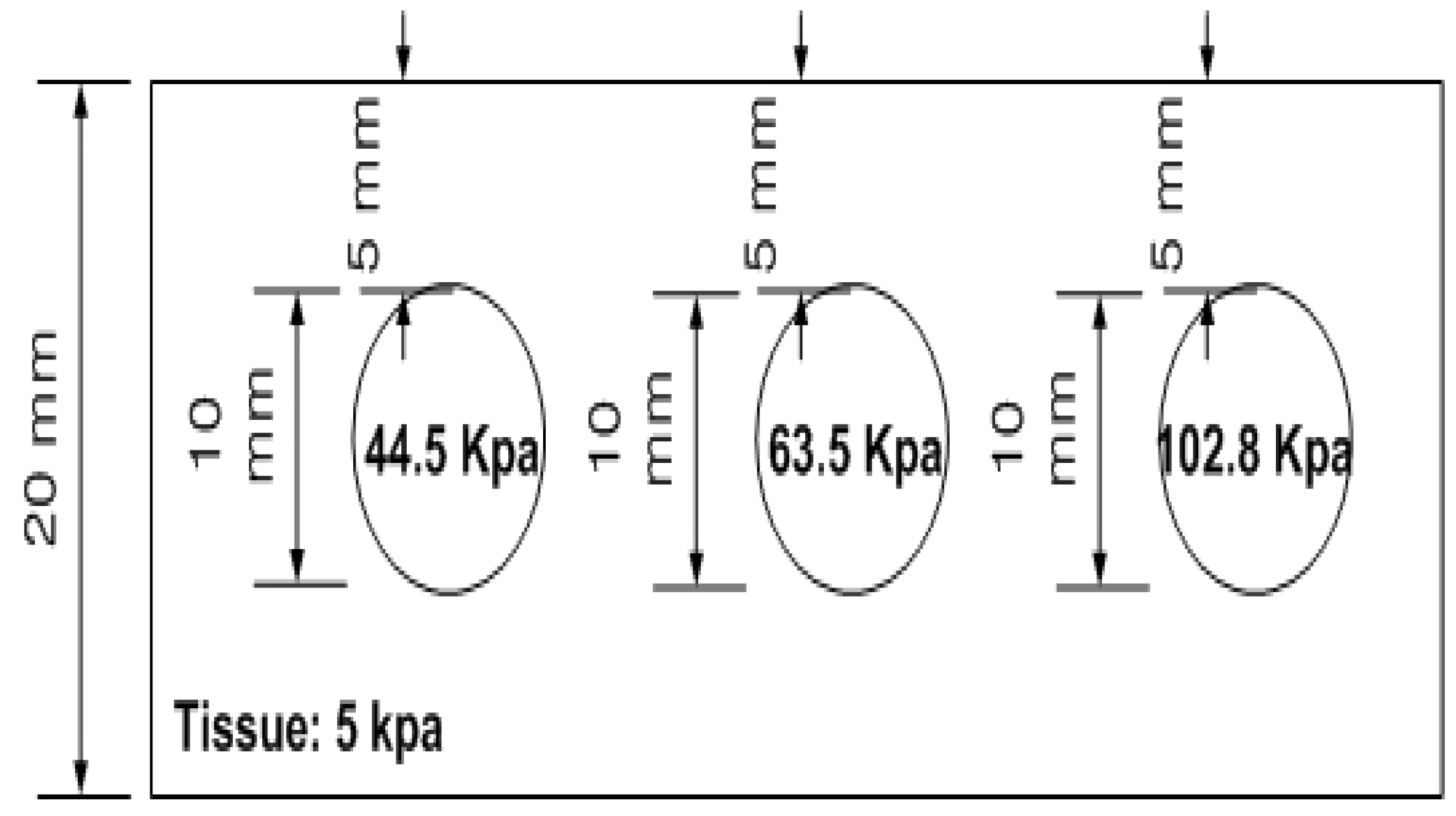 Biosensors 16 00102 g013