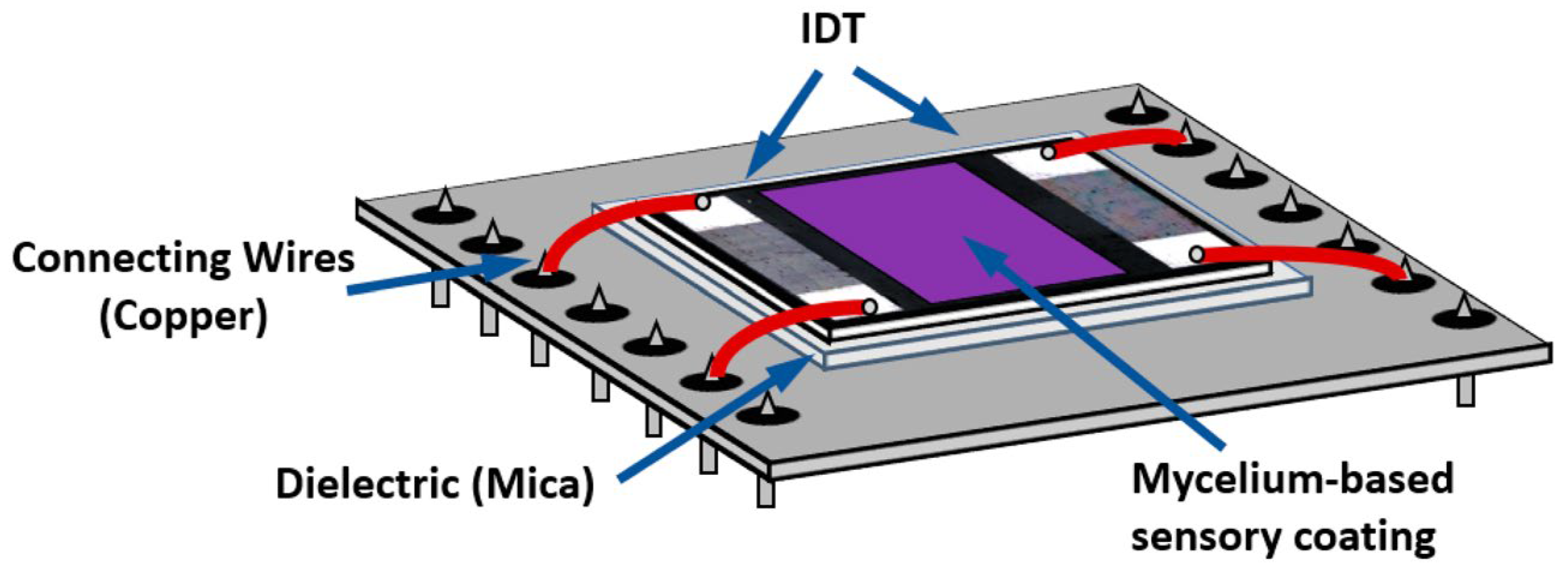 Biosensors 16 00131 g006 Biosensors 16 00131 g006