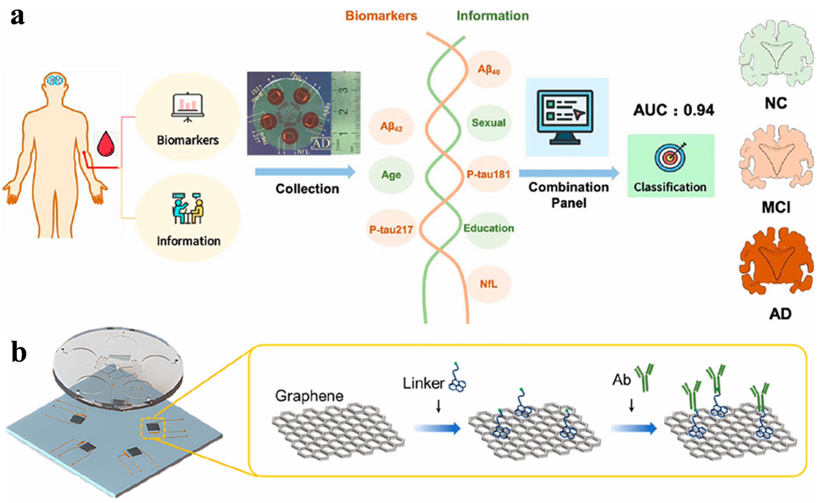 Biosensors 16 00161 g003