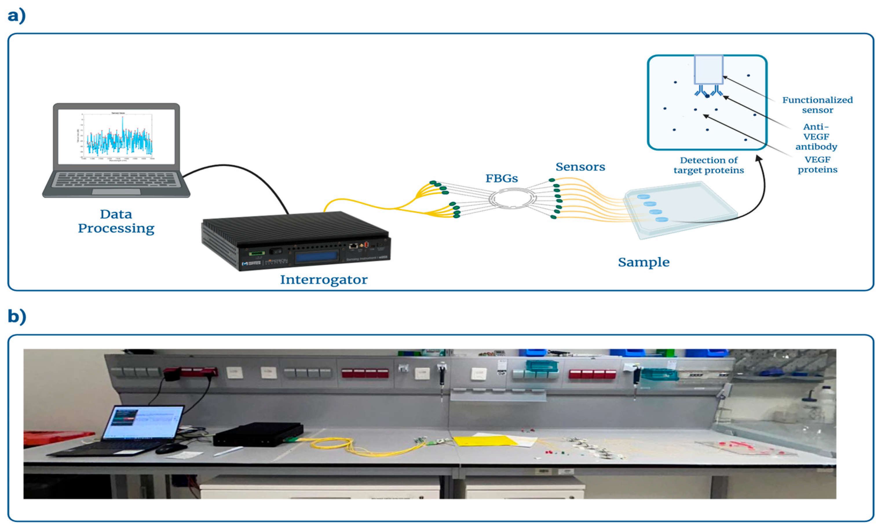 Biosensors 16 00286 g003
