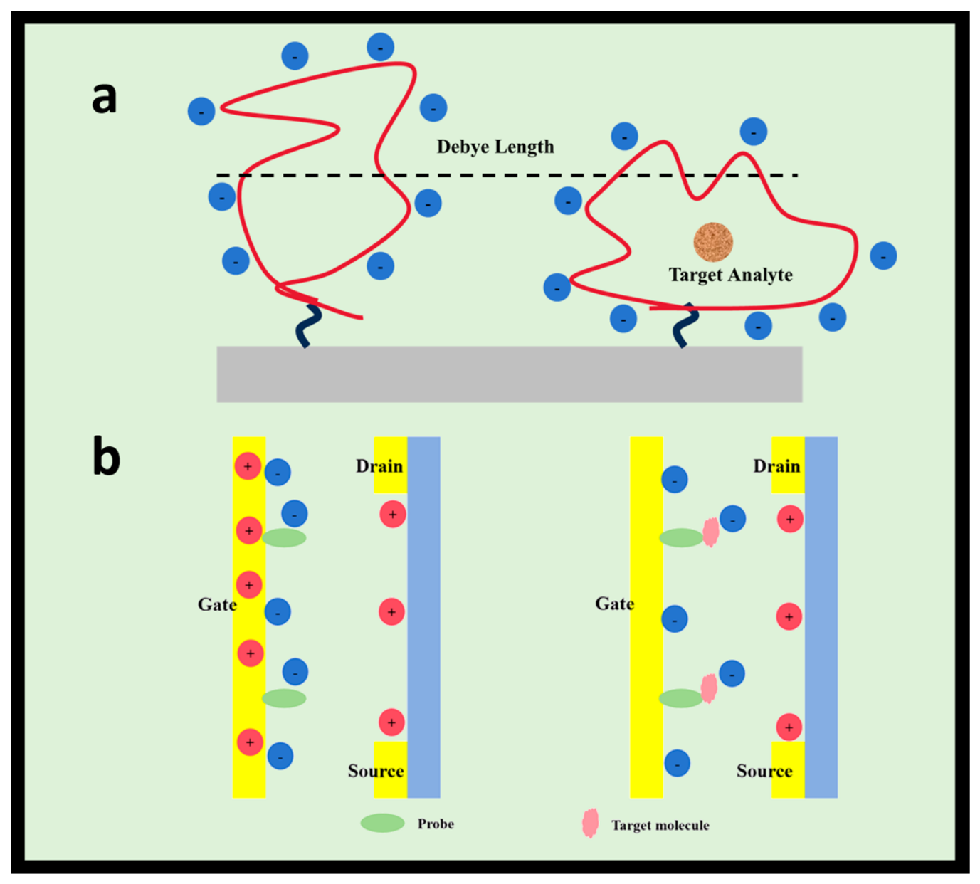 Biosensors 16 00304 g004