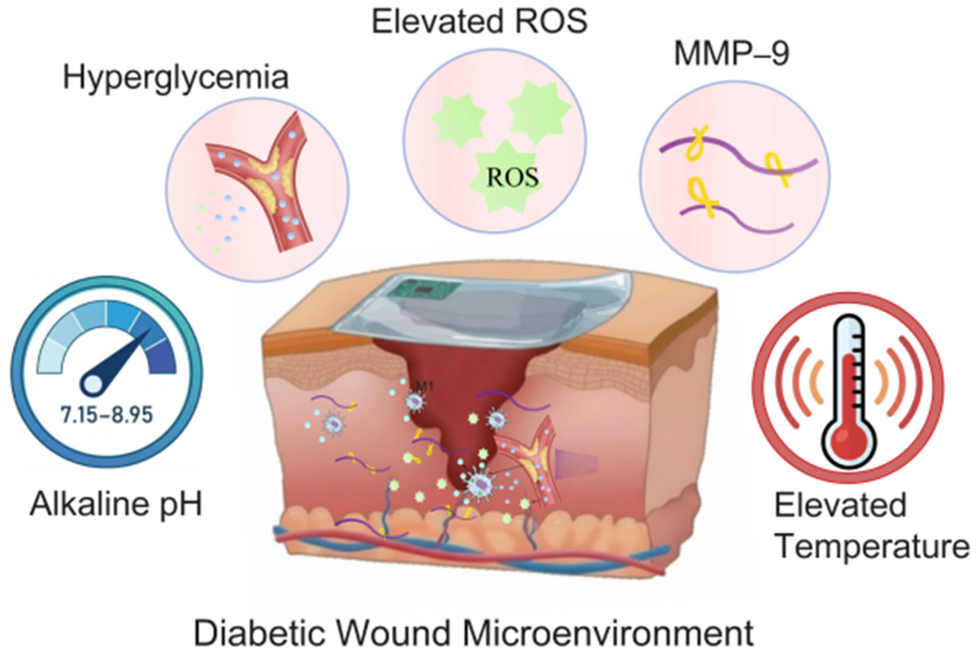 Biosensors 16 00307 g002