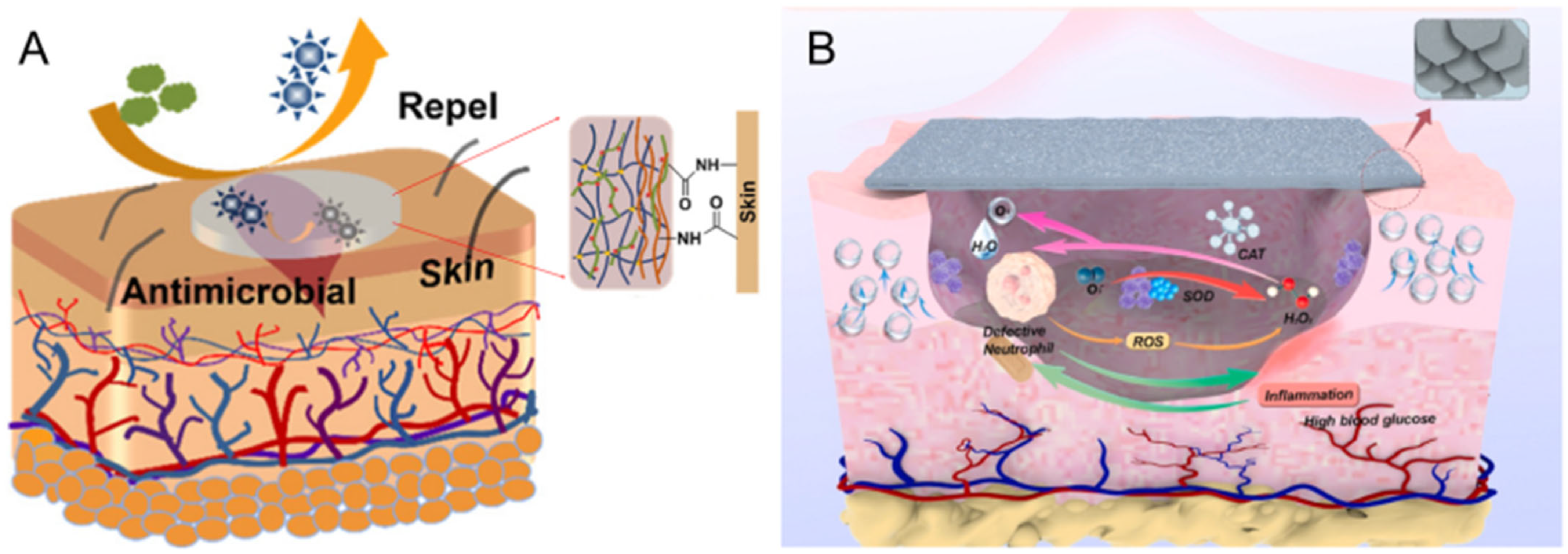 Biosensors 16 00307 g003