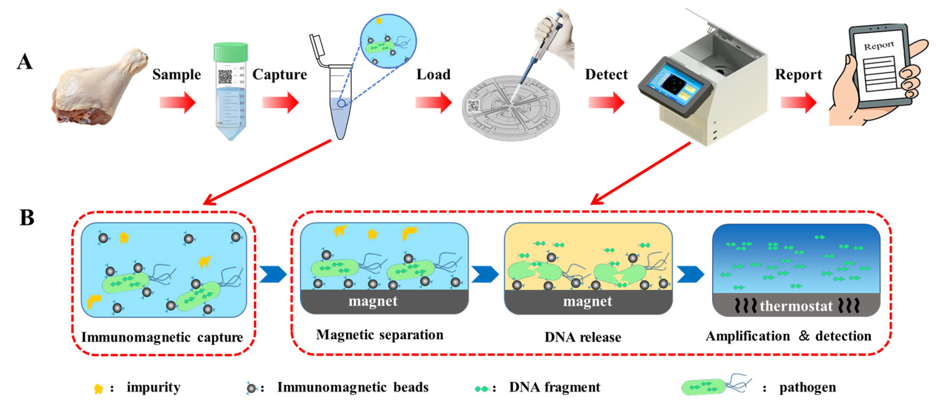 Biosensors 16 00321 g004