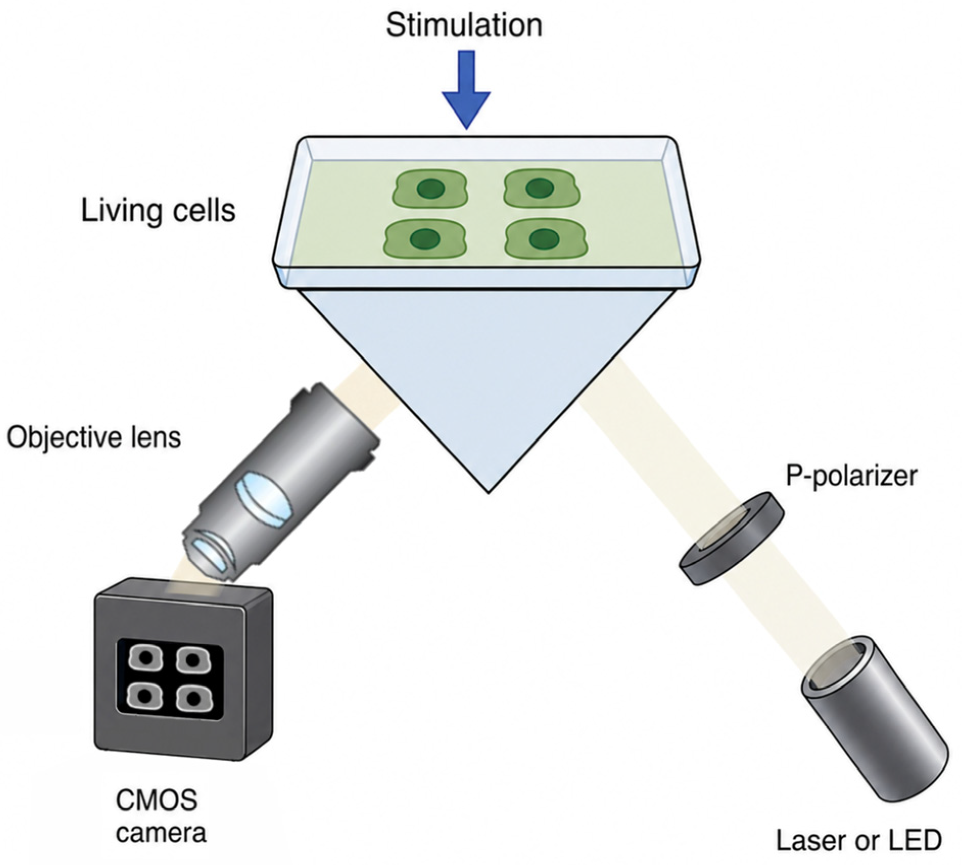 Biosensors 16 00332 g003